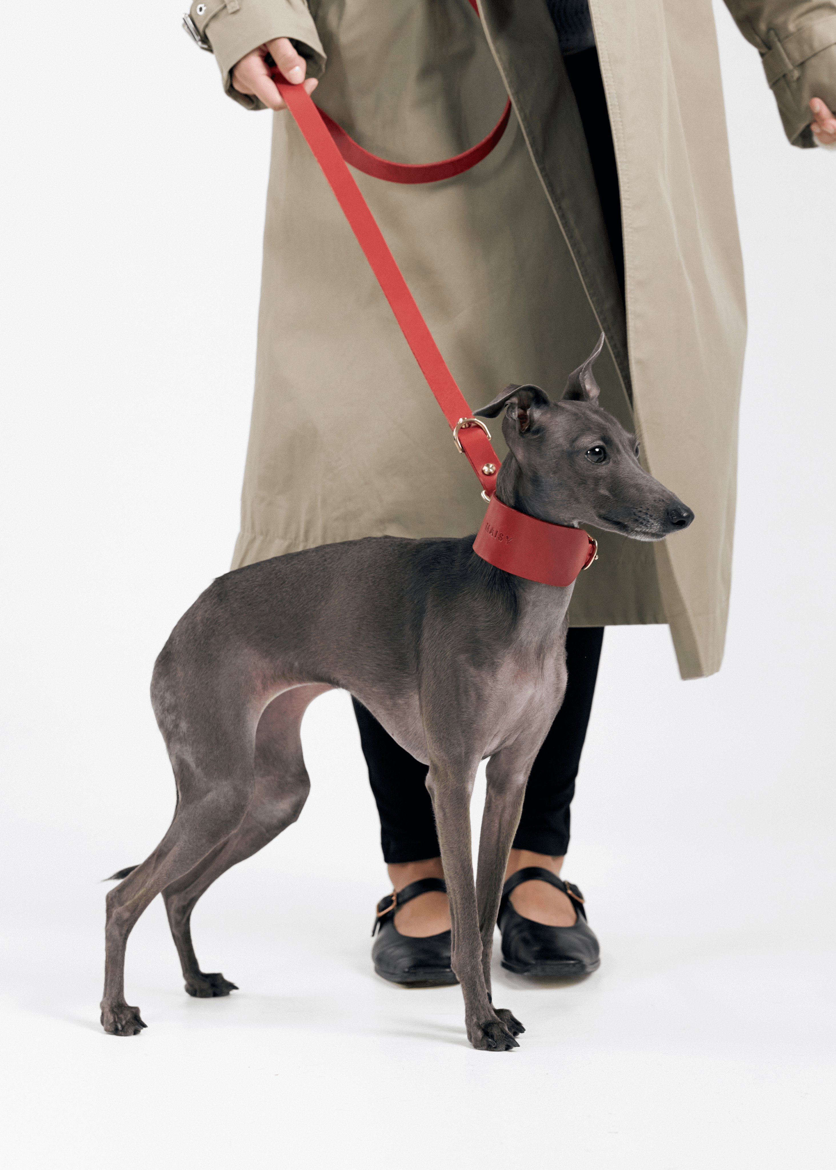 Vero Wide Dog Collar in Red