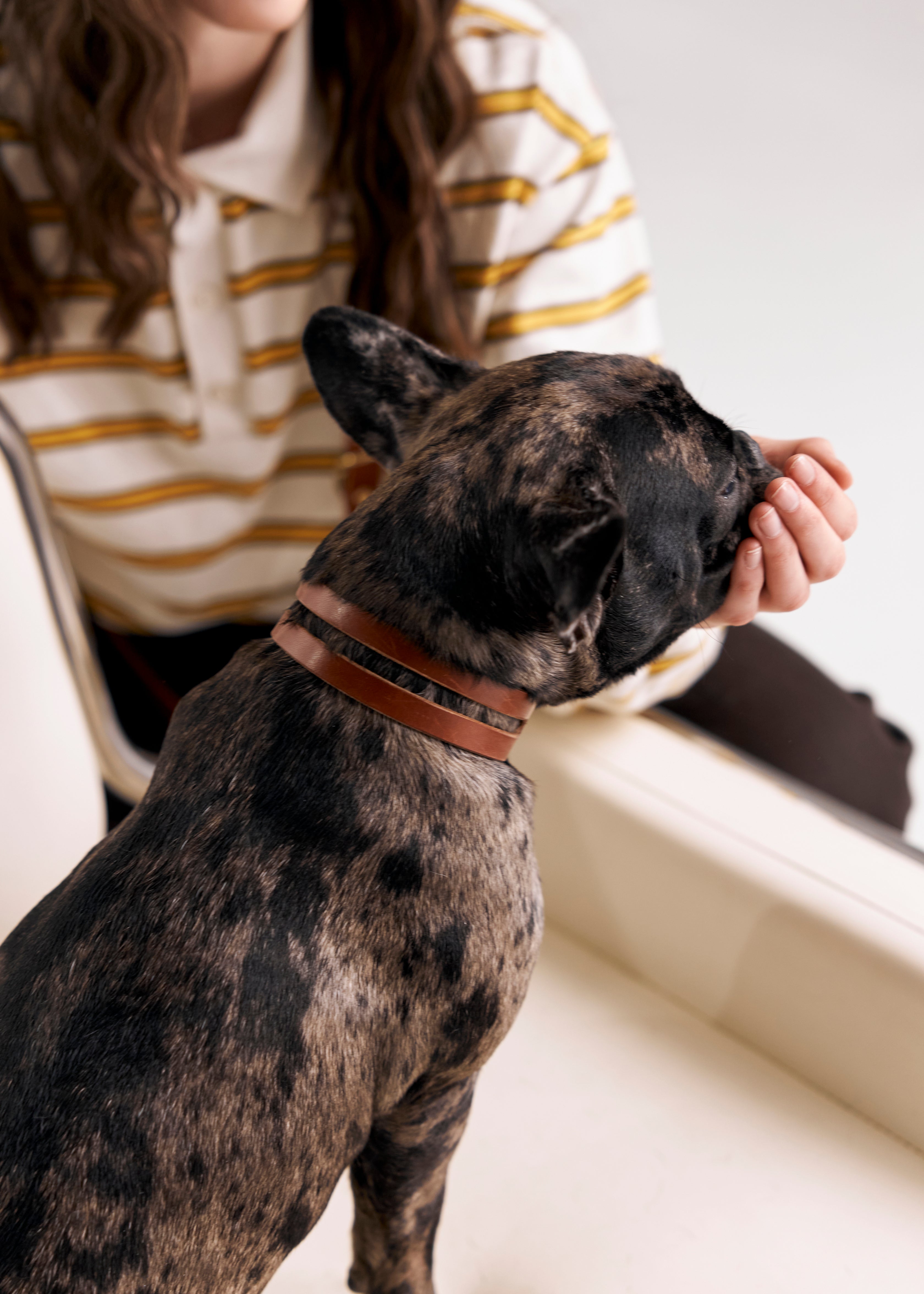Aeris classic leather dog collar in brown
