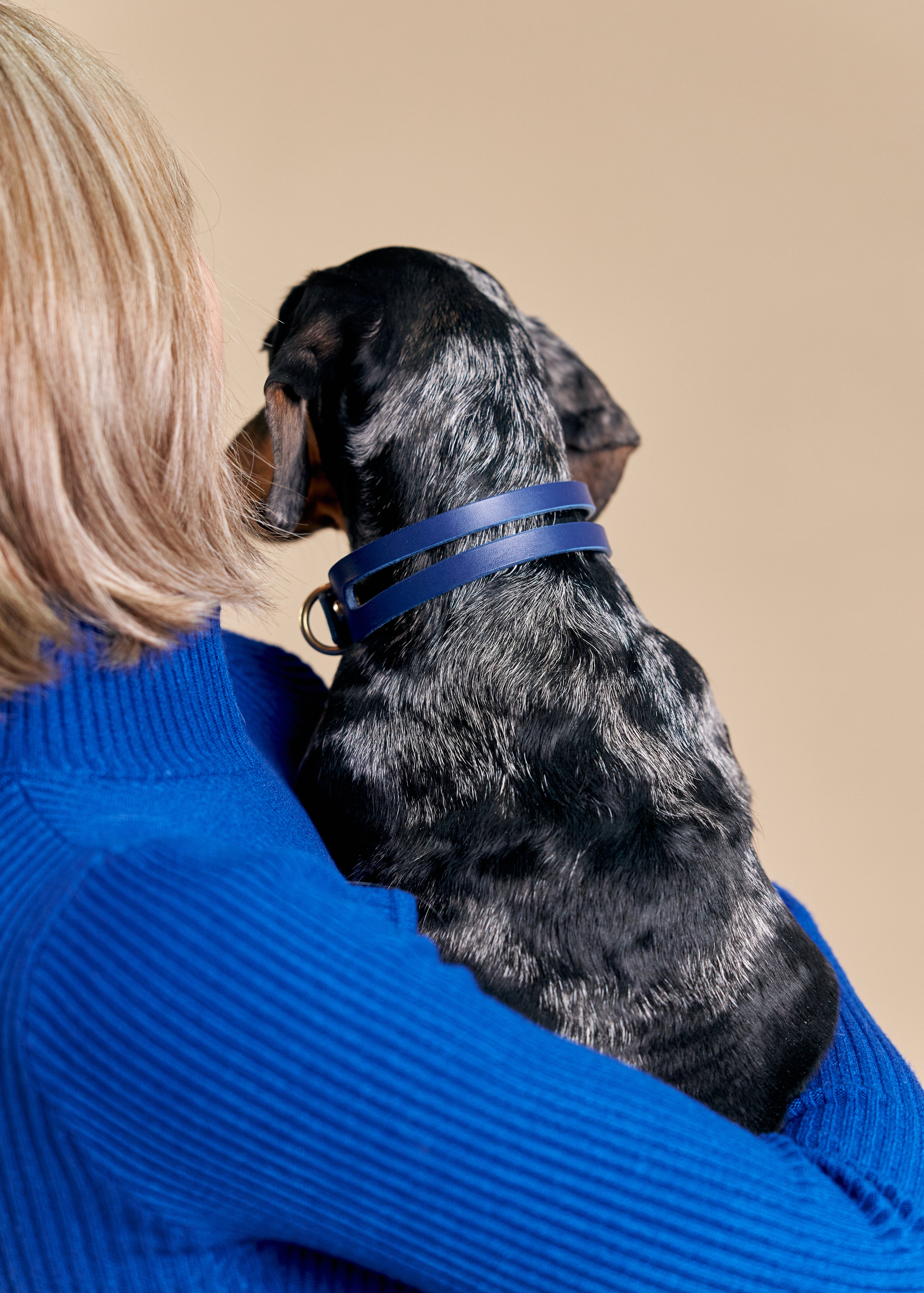 Aeris Classic Collar & Omni Leash in Blue