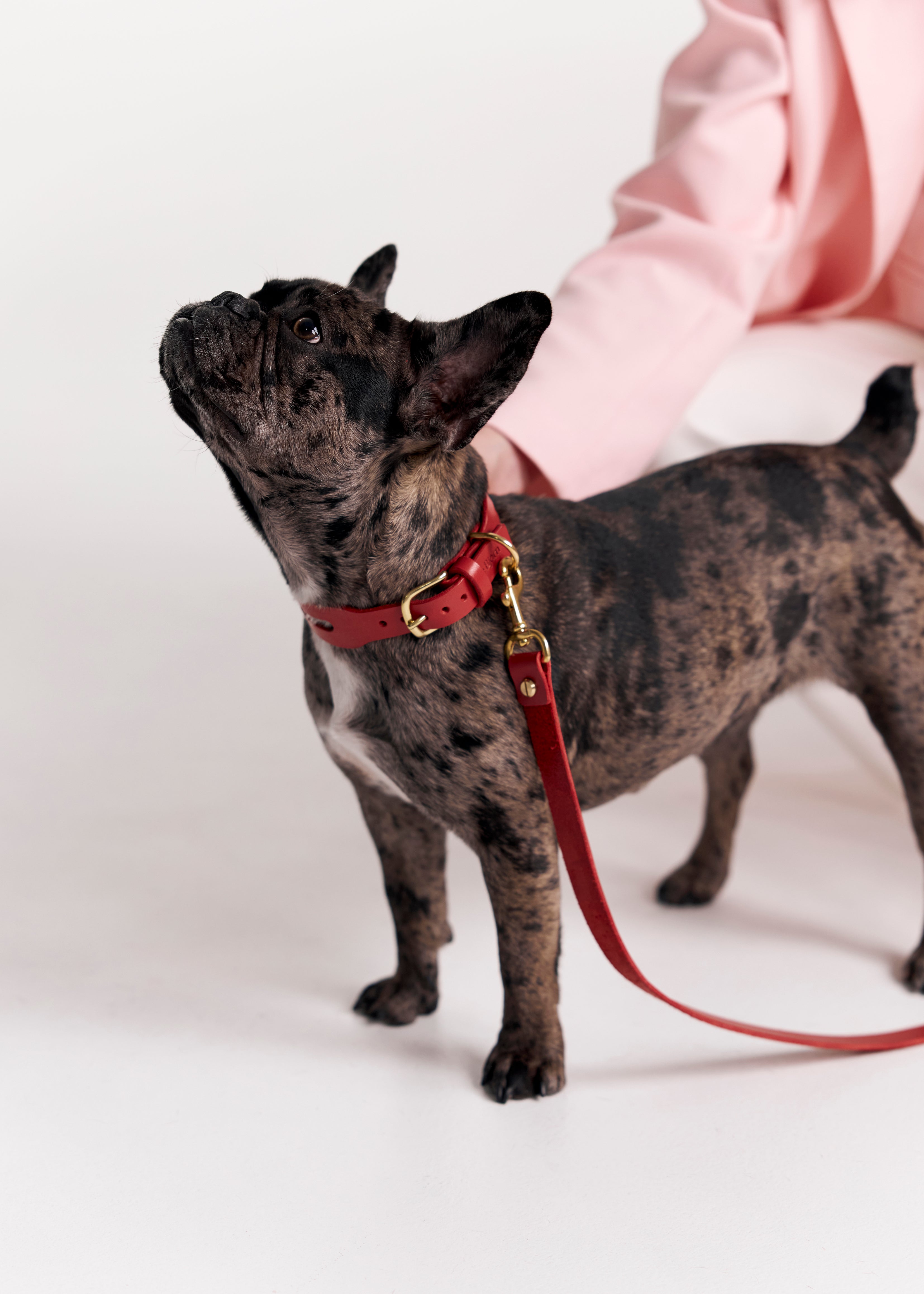 Aeris Classic Collar & Leash in Red