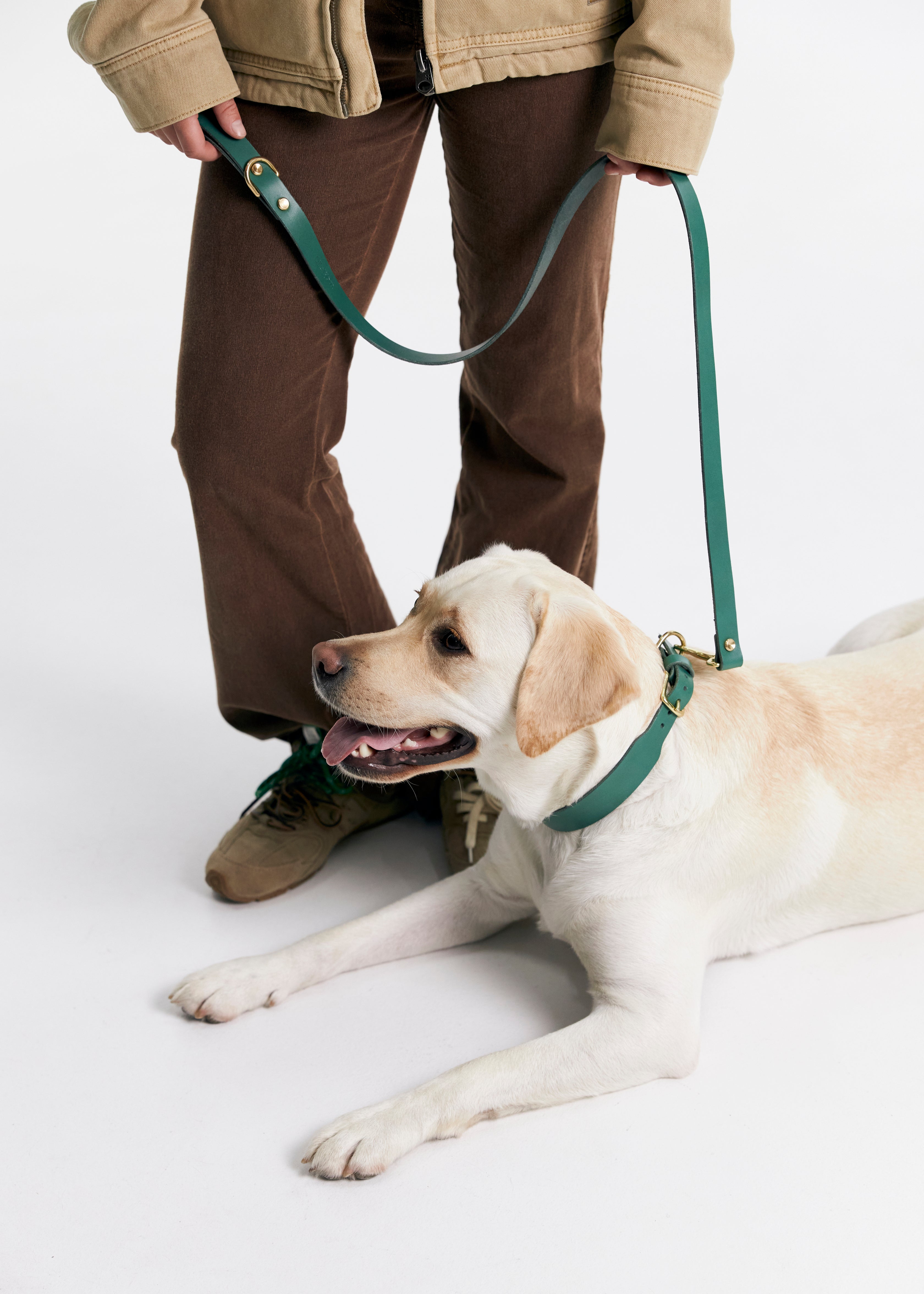 Classic Leather dog leash paired with Vero Classic Dog Collar in green