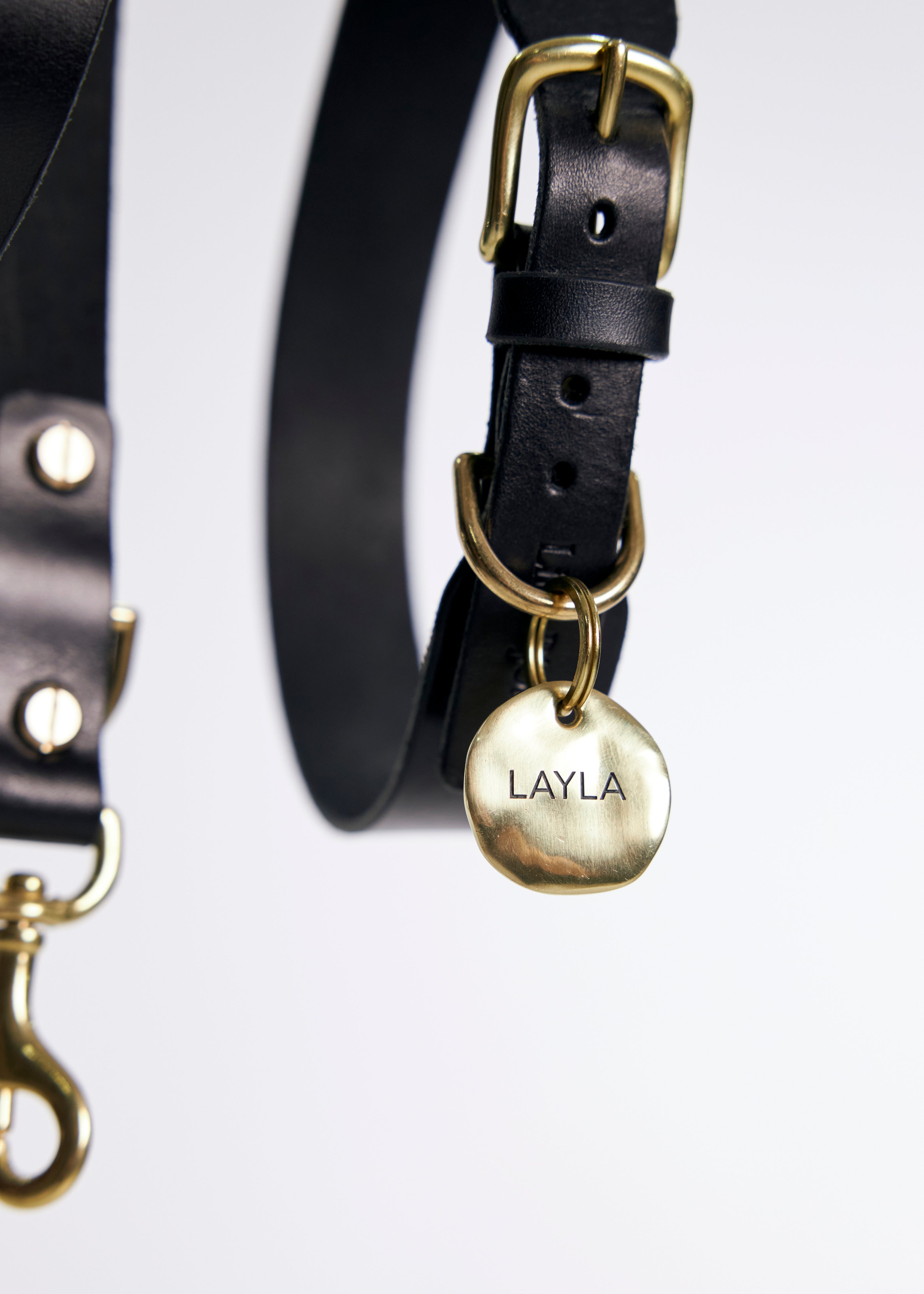 Pebble Brass Dog Nametag