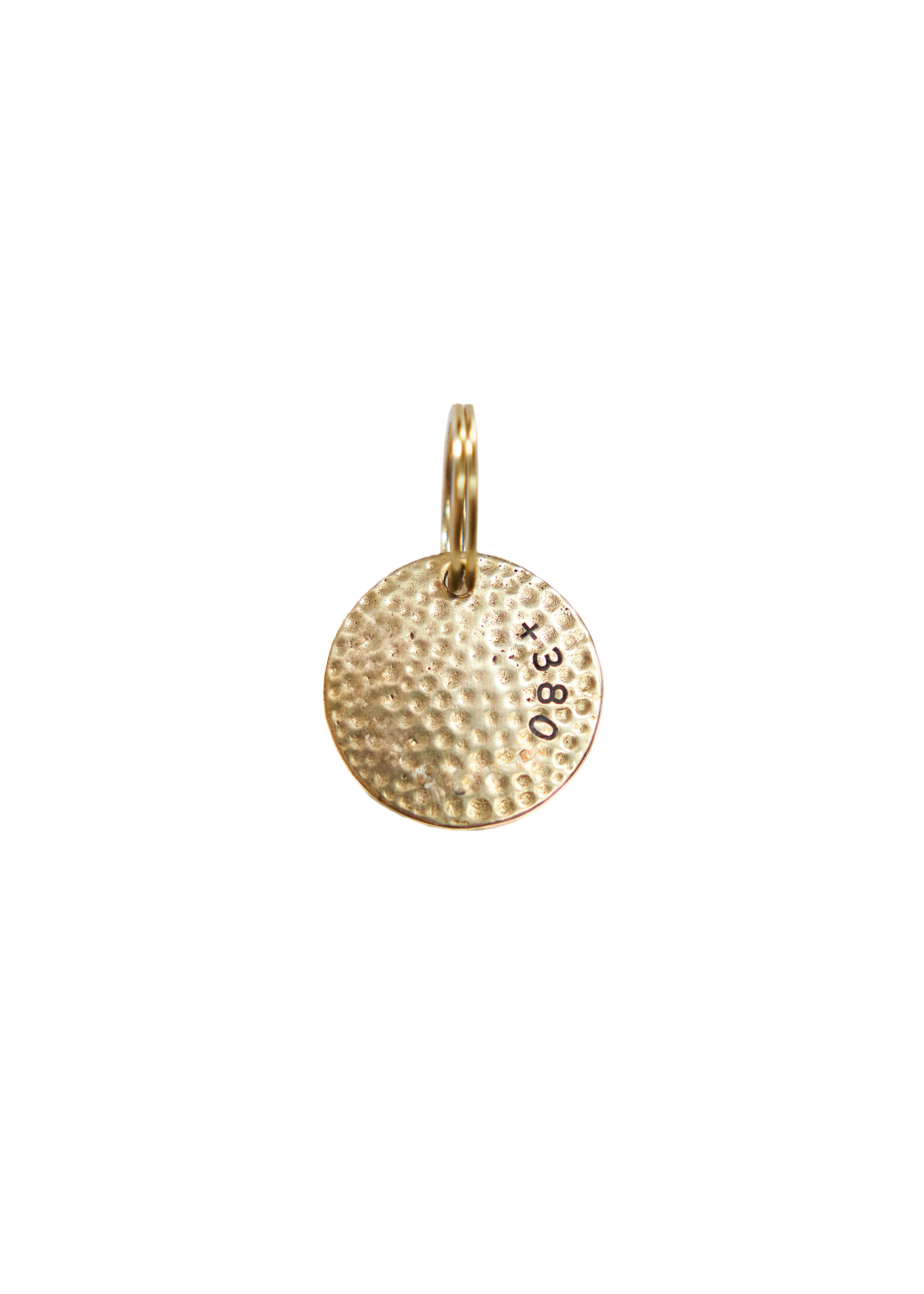 Ripple Brass Dog Nametag