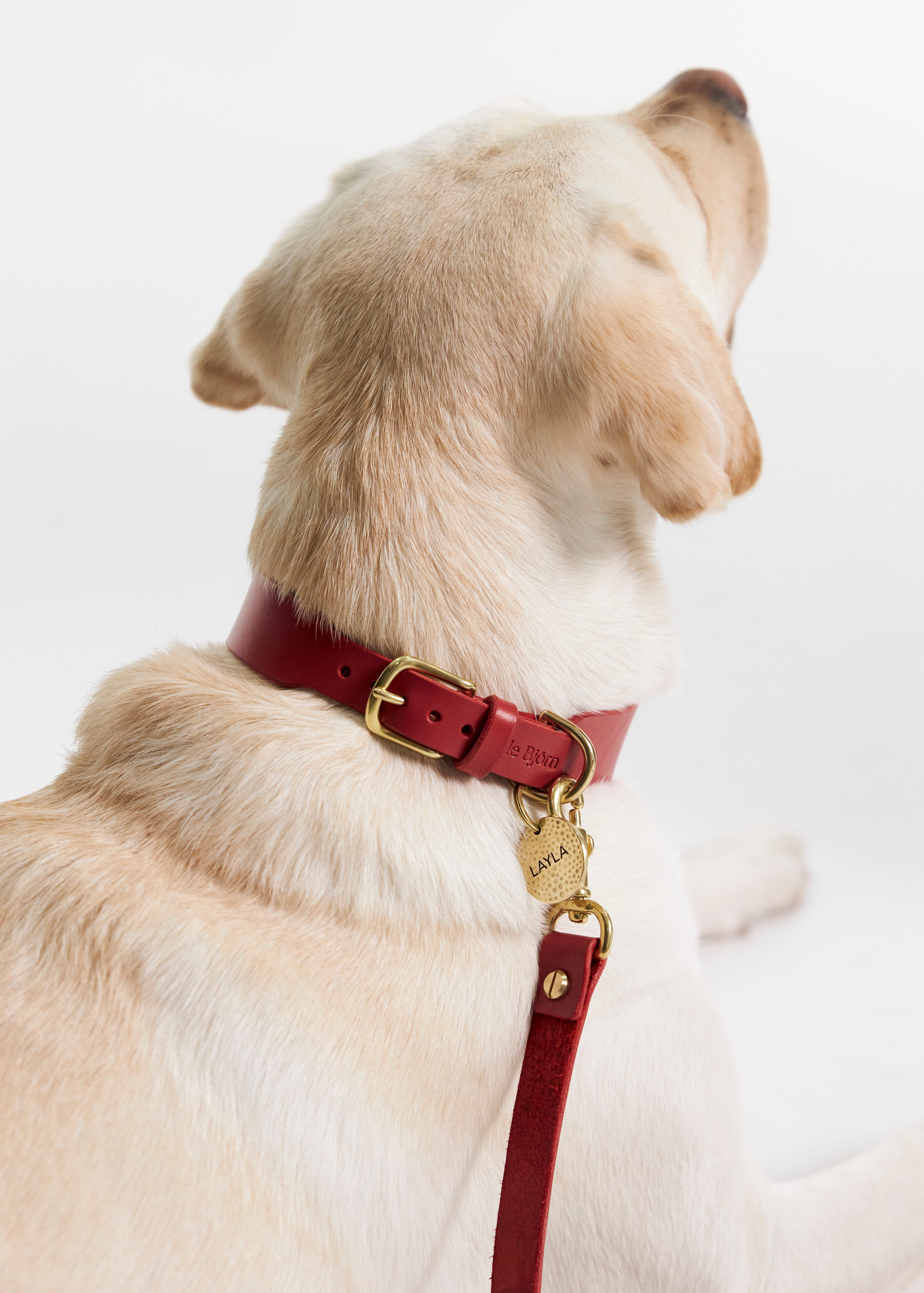 Ripple Brass Dog Nametag