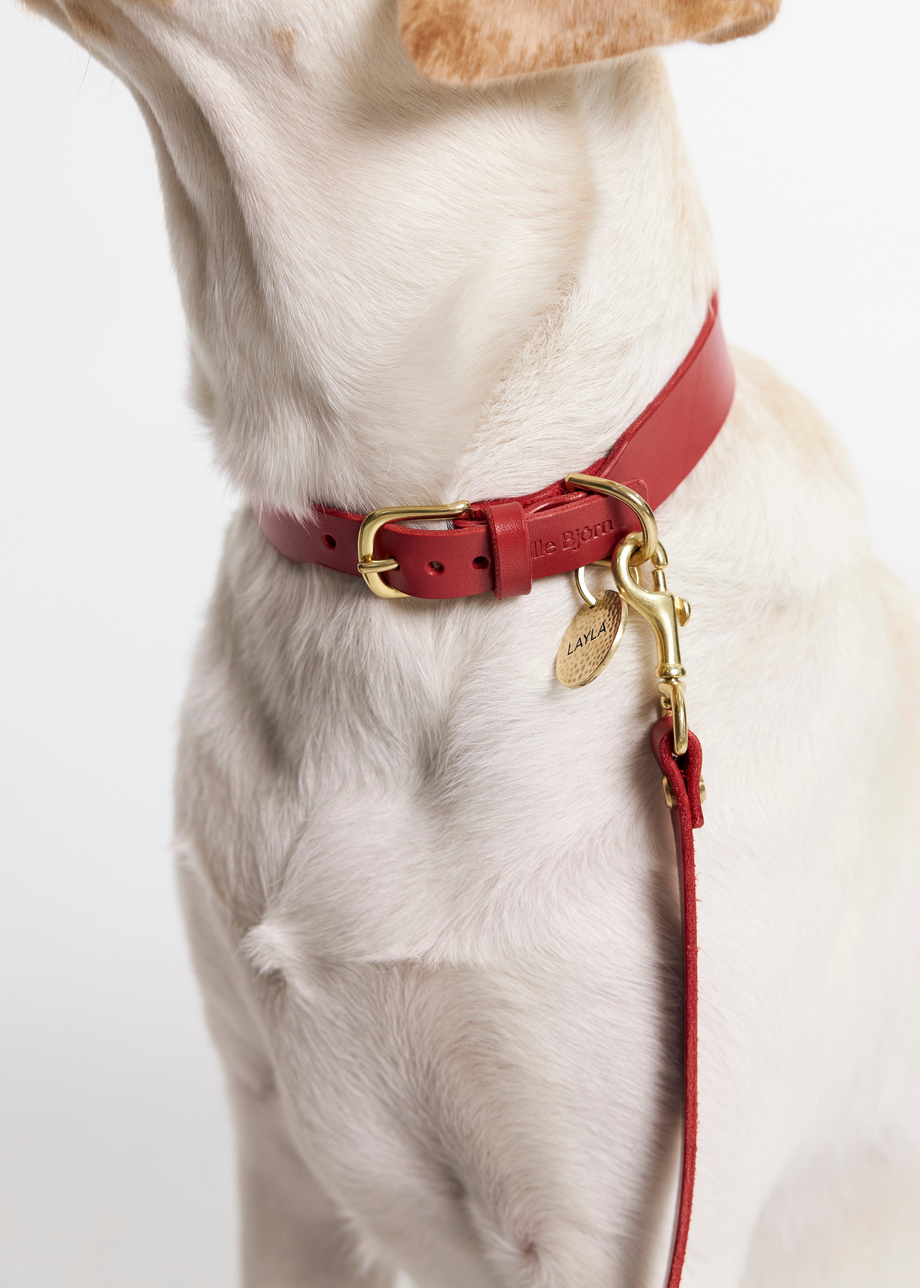 Vero Classic Collar & Omni Leash & Vero Harness in Red