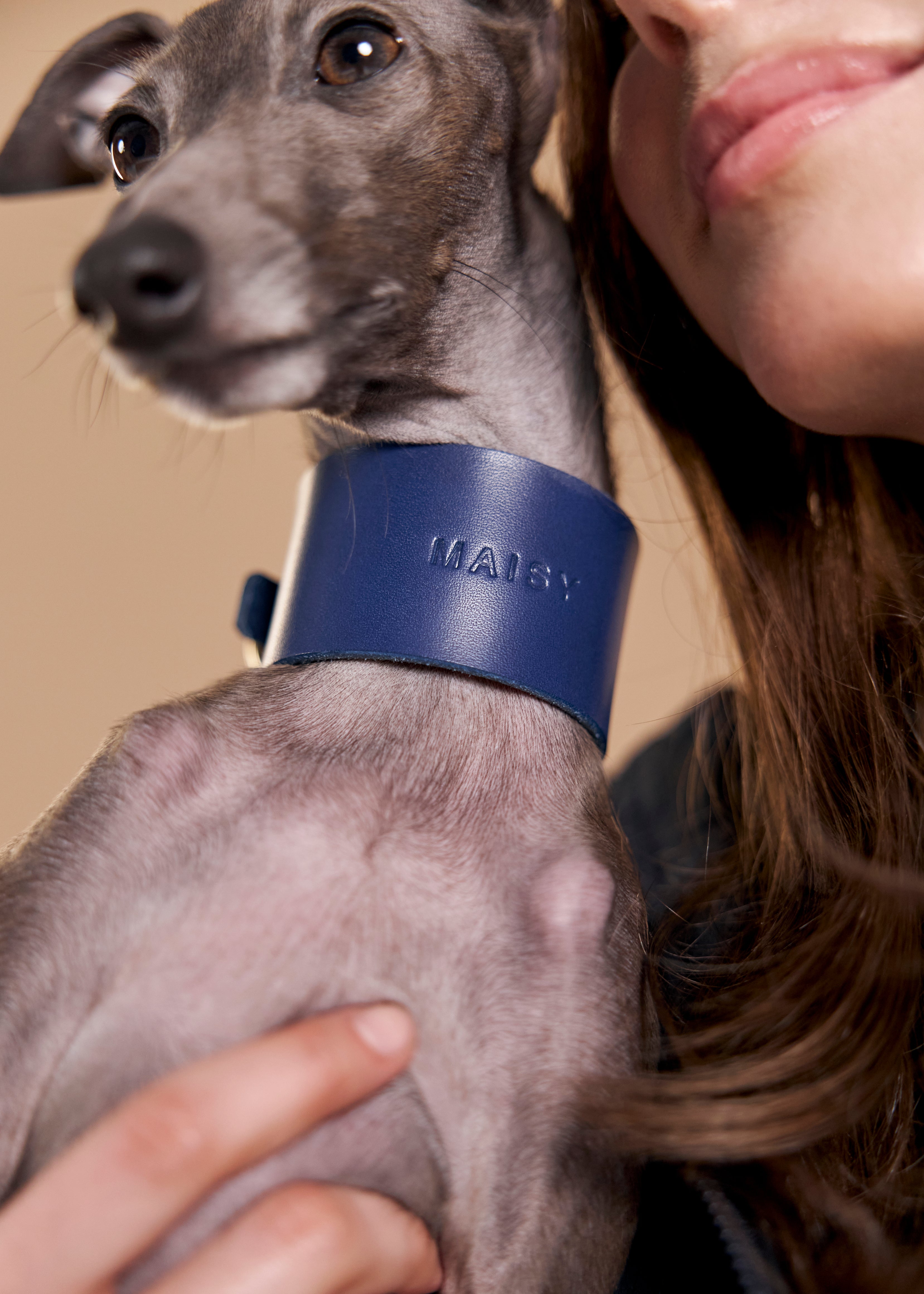 Vero Wide Leather Dog Collar in blue