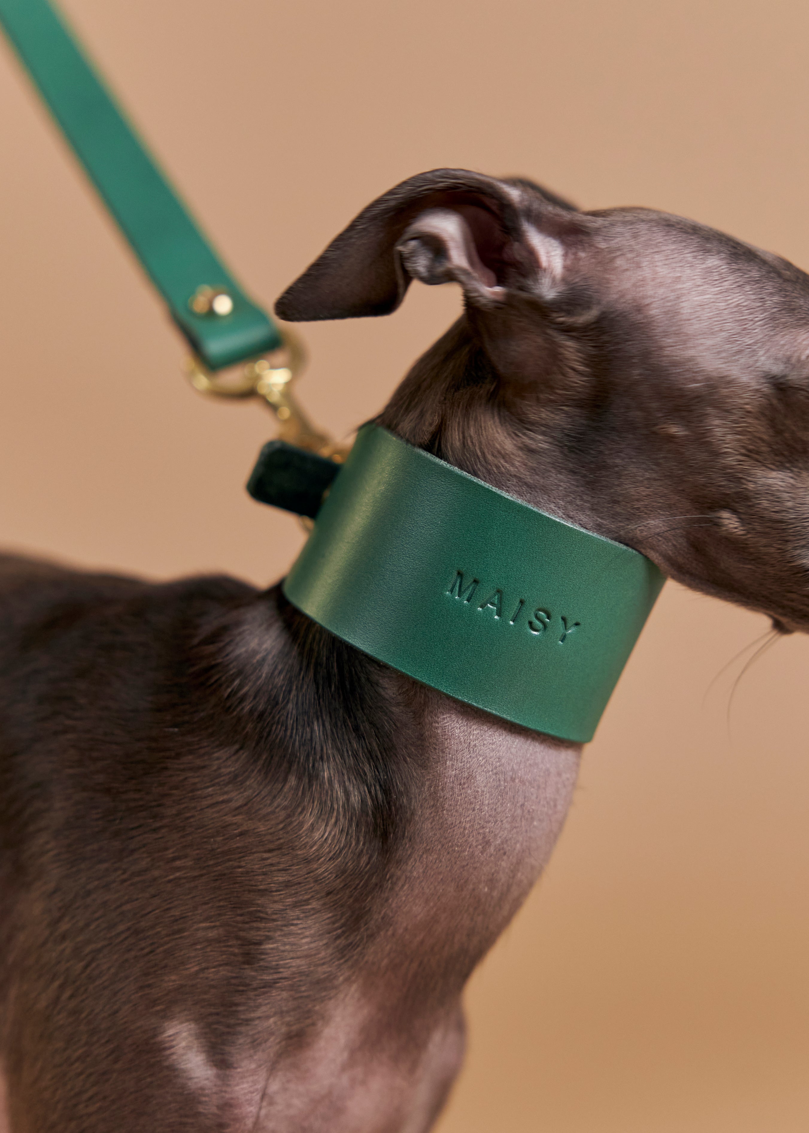 Vero Wide Leather Dog Collar in green