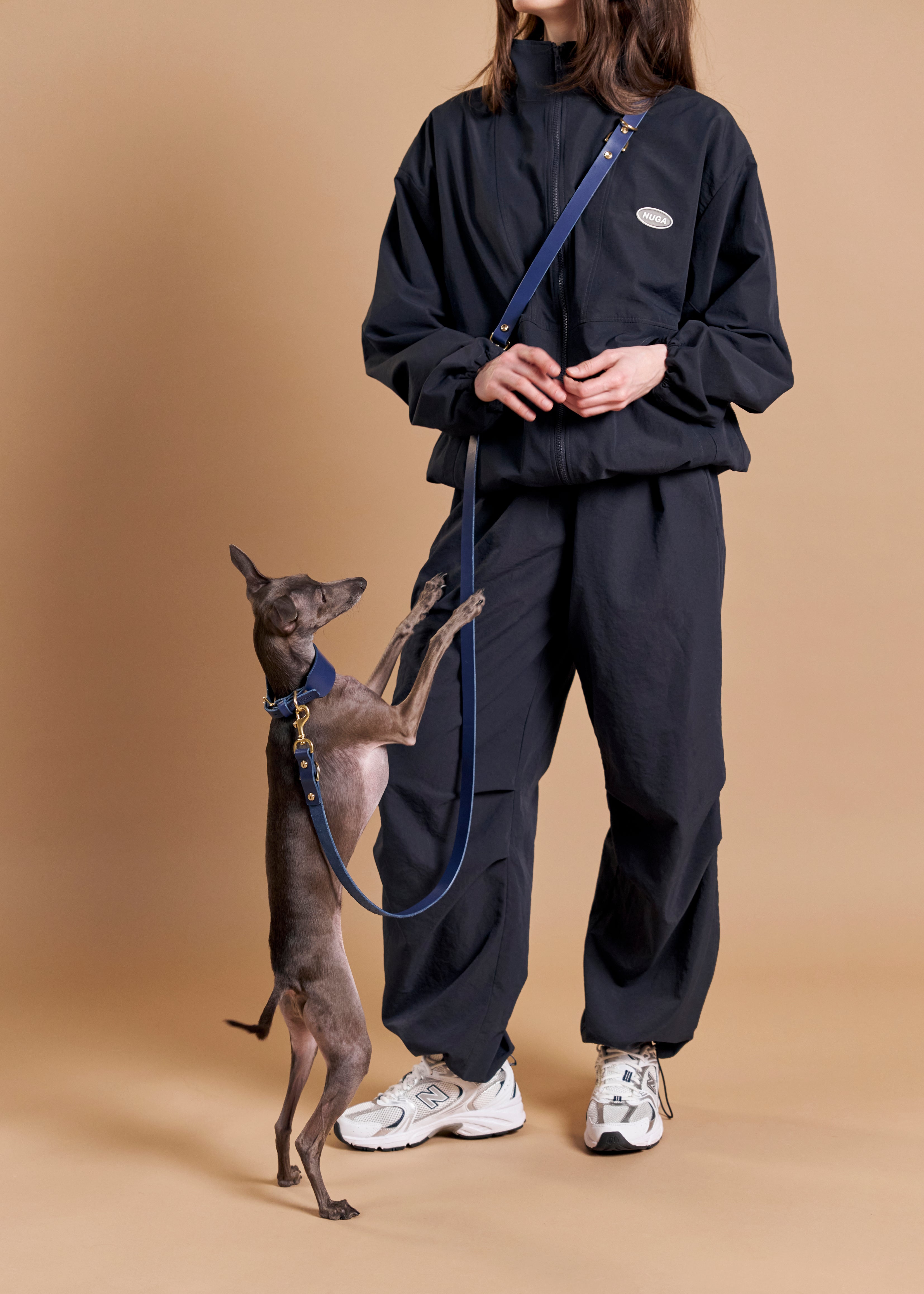 Vero Wide Dog Collar paired with Omni Hands-Free Leash in blue