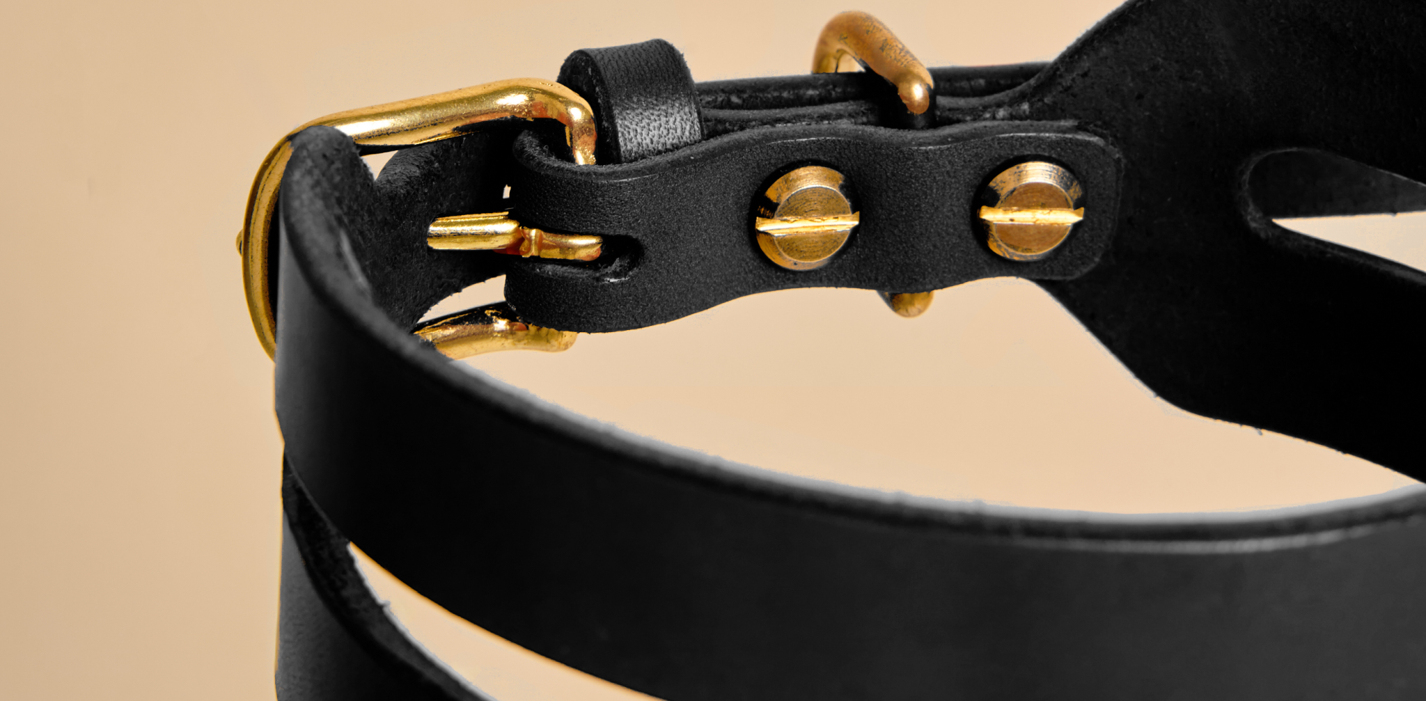 Which Types of Leather Are Best for Dog Collars?