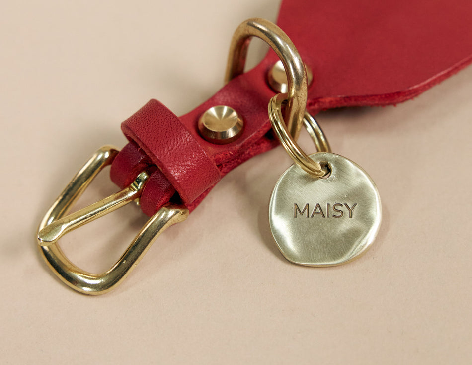 Evolution Tag Dog Tags: History, Purpose, Materials & Evolution Guide – The Lille Björn
