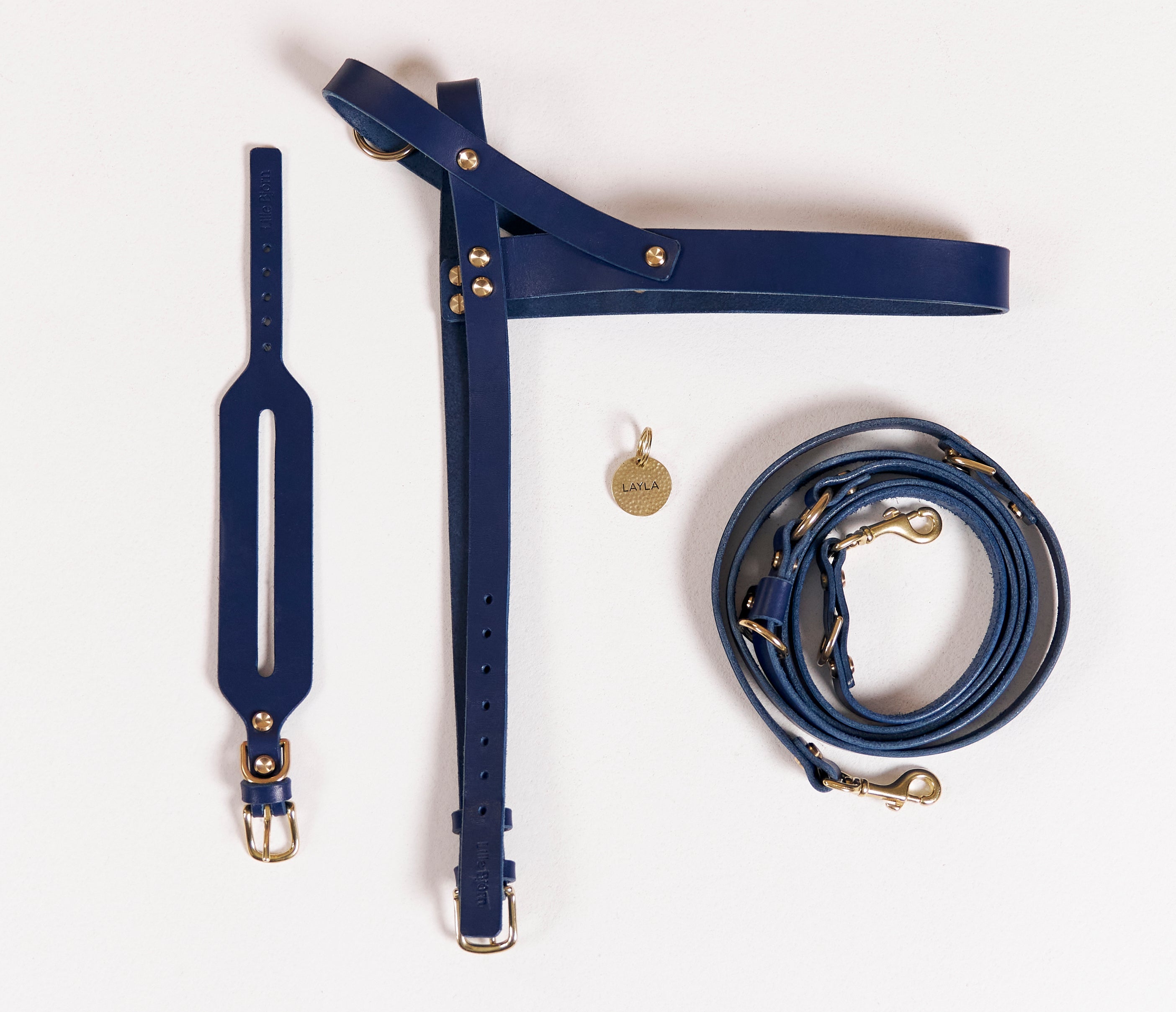 Dog Safety Essentials: From Tag to Harness to Training