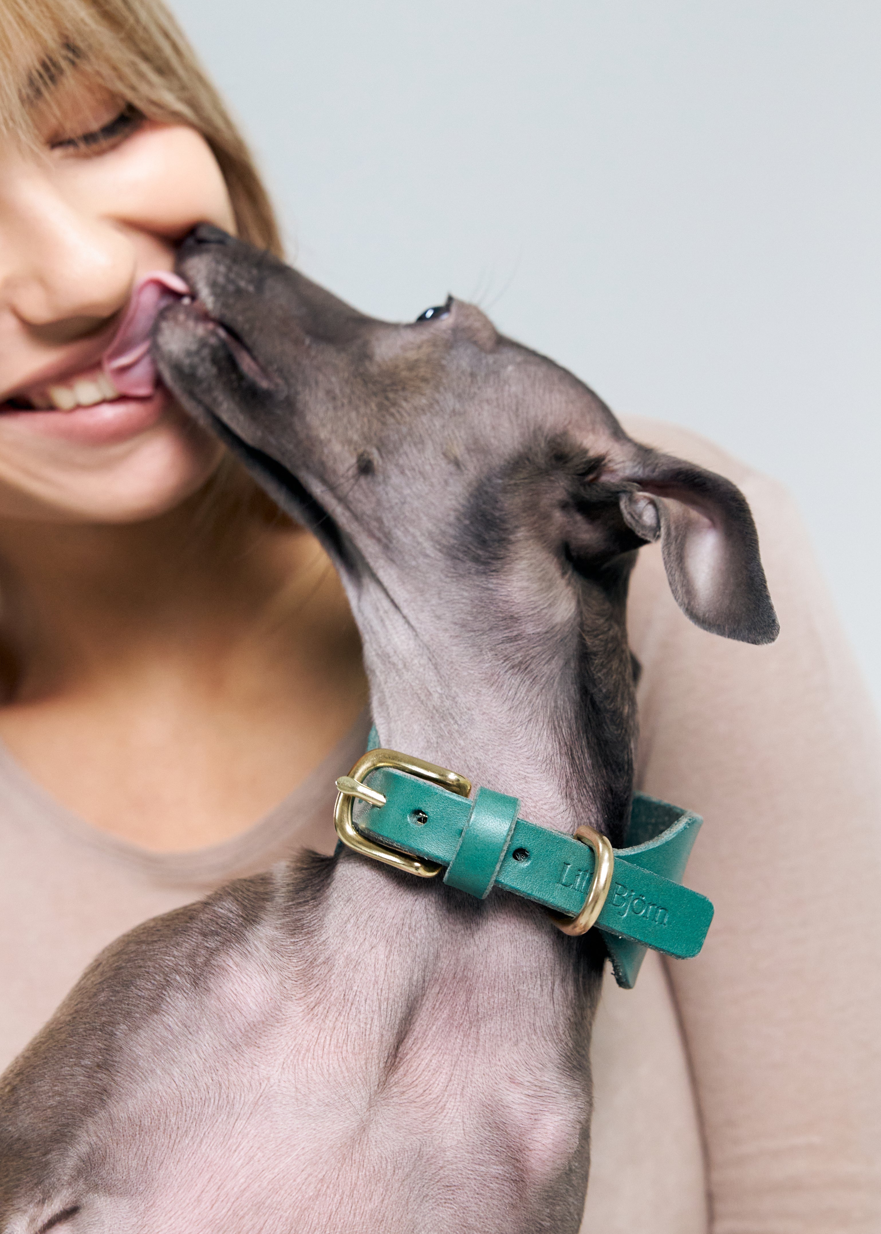 How to Measure Your Dog’s Neck for the Perfect Collar Fit