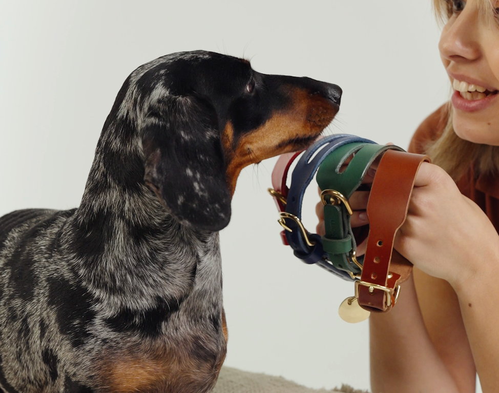 Are Martingale Collars Safe?