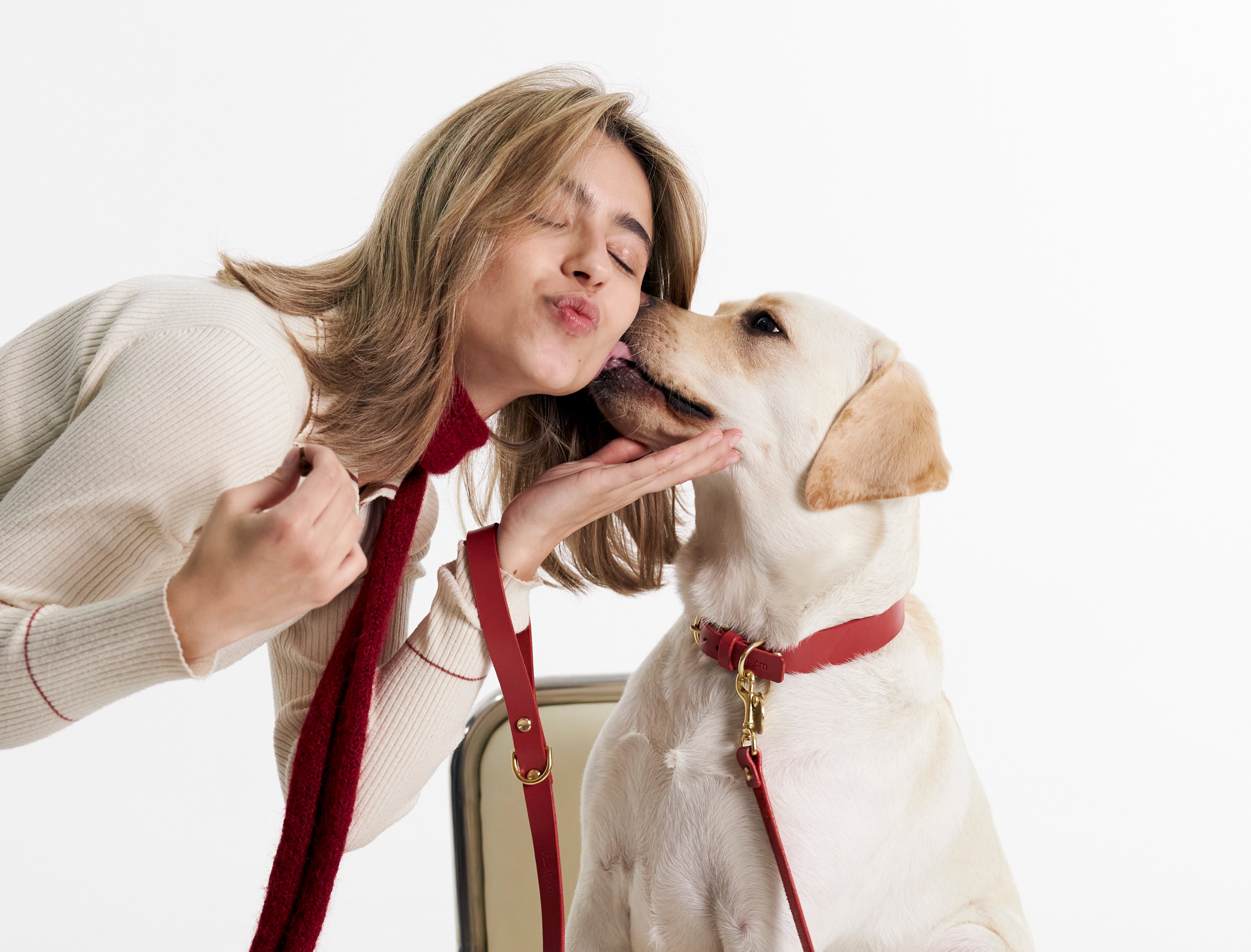 Large Breed Dog Collar Buying Guide: Width, Material and Control