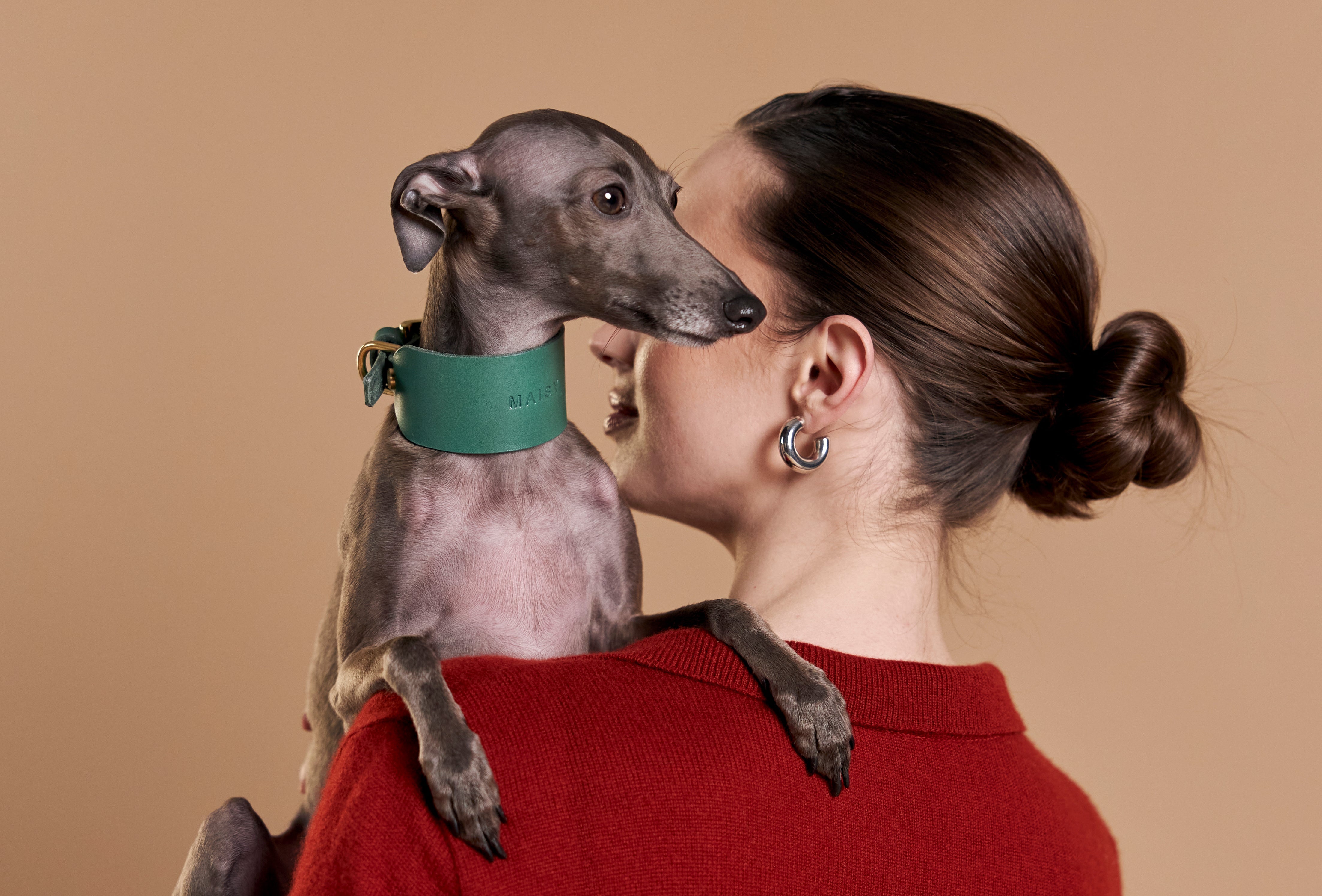 Do Metal or Chain Collars Harm Dogs