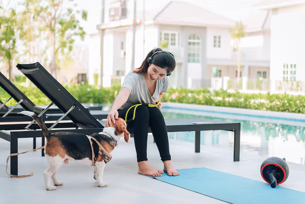 Creating a Healthy Daily Routine With Your Dog