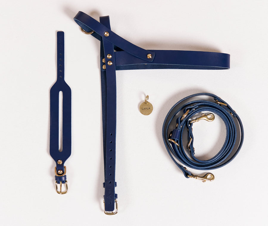 Navy leather all-in-one bundle with brass hardware on a white background