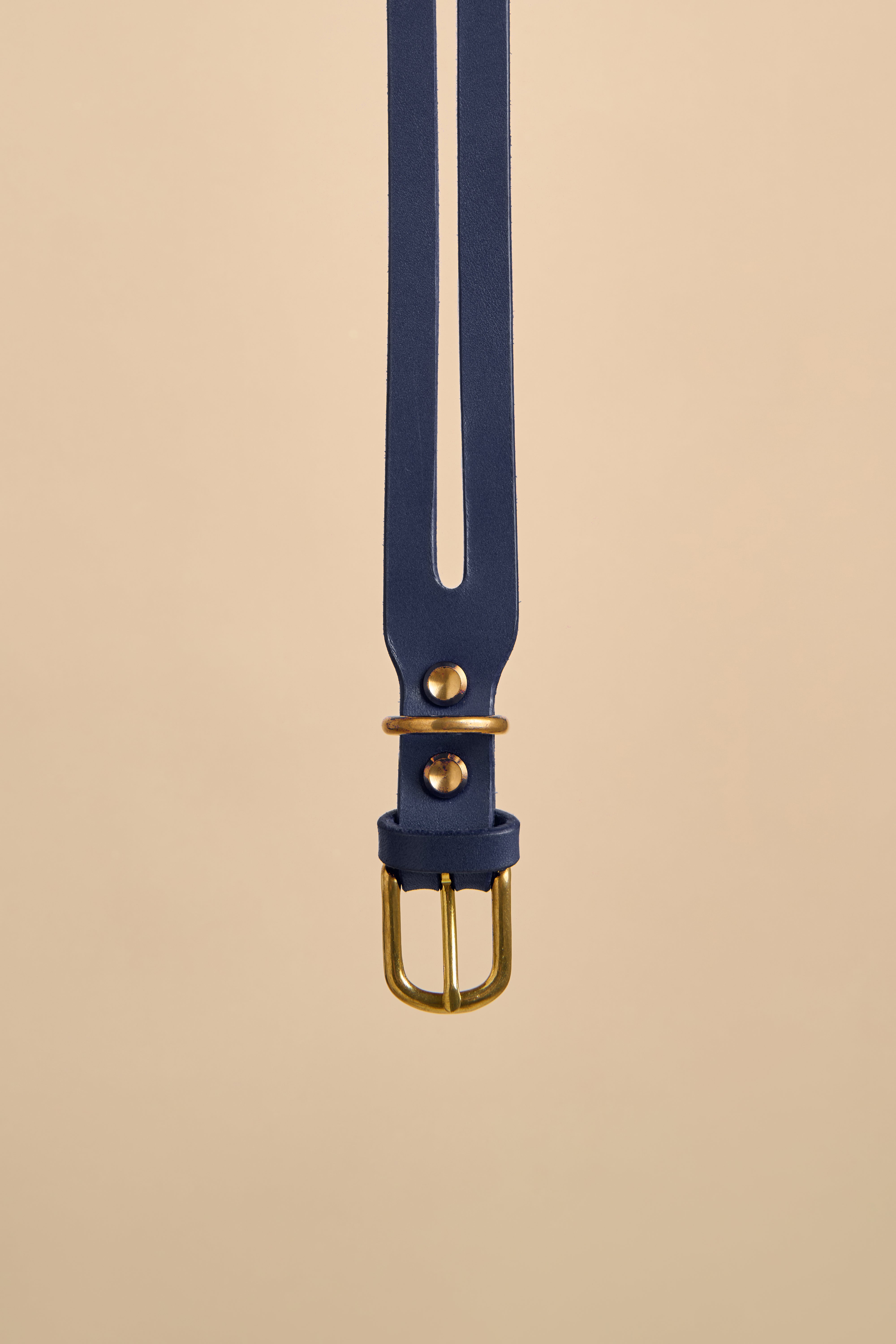 Close-up detail of the buckle on Aeris Classic Blue Leather Dog Collar, showcasing durable construction with premium leather