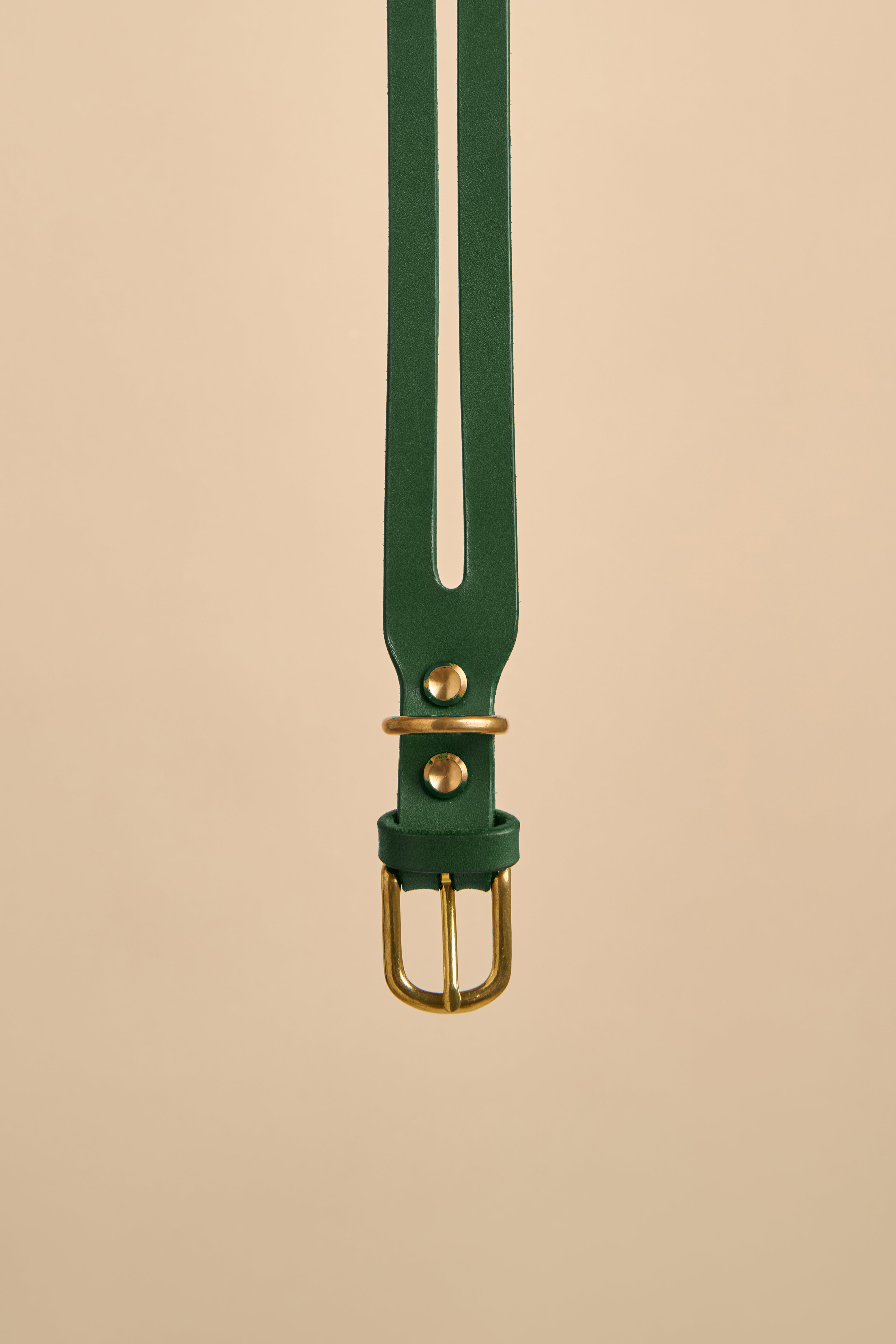 Close-up of the buckle on Aeris Classic Green Leather Dog Collar, highlighting secure closure with premium Italian leather