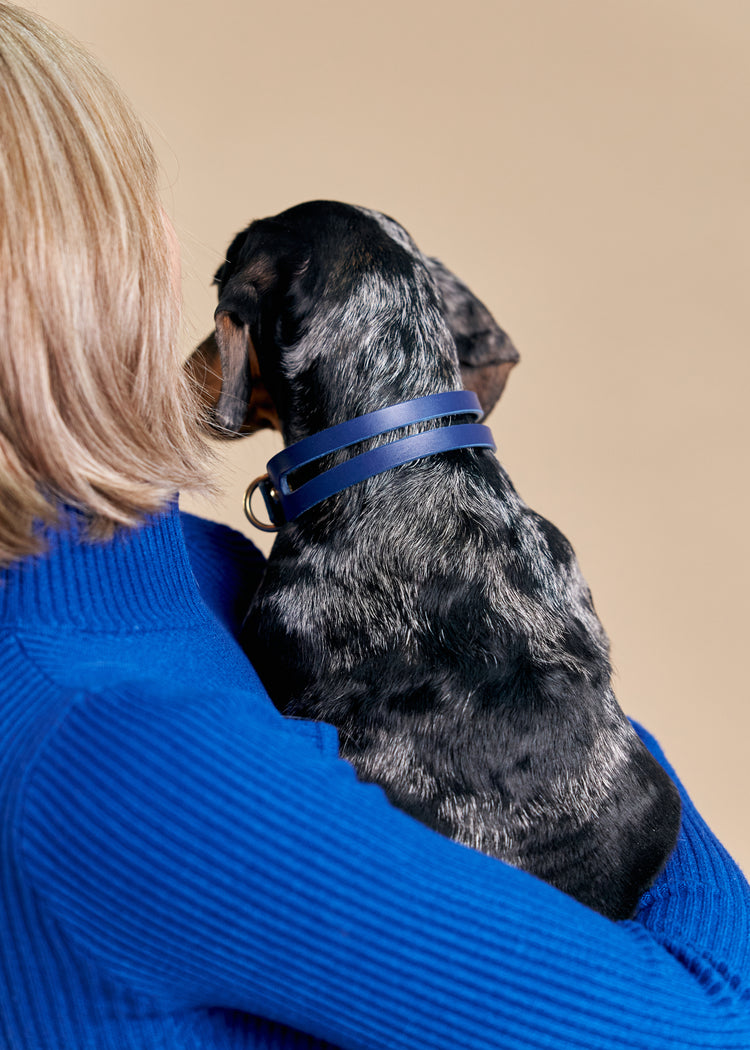 Blue Leather Dog Collar - Aeris Classic
