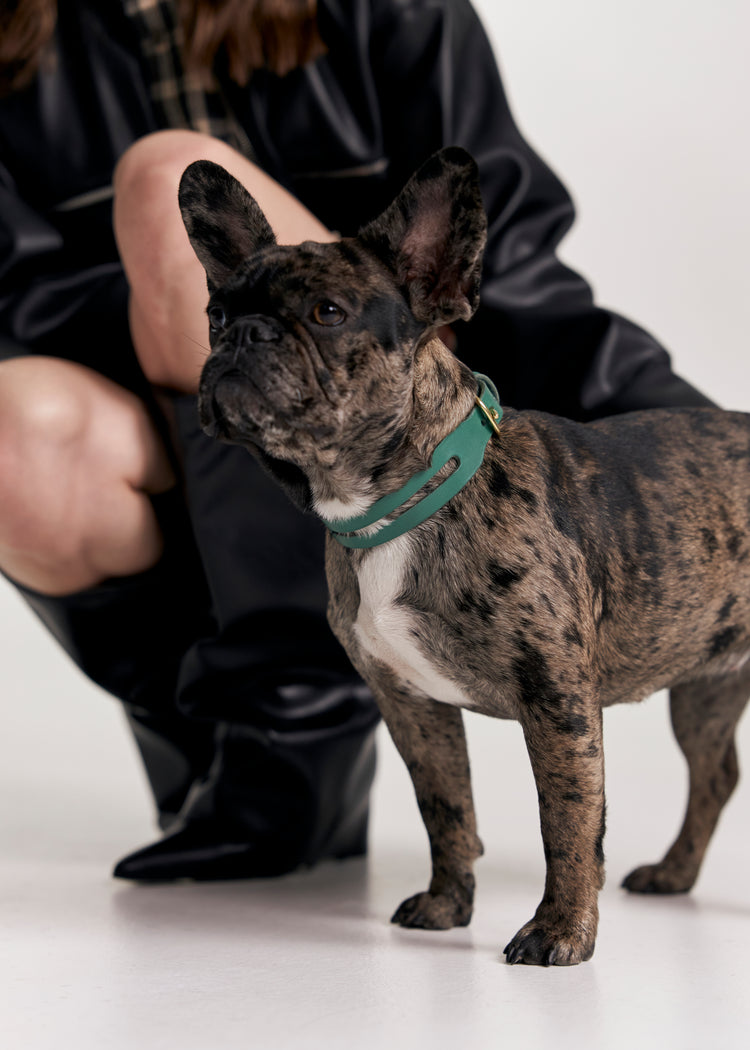 Green Leather Dog Collar - Aeris Classic