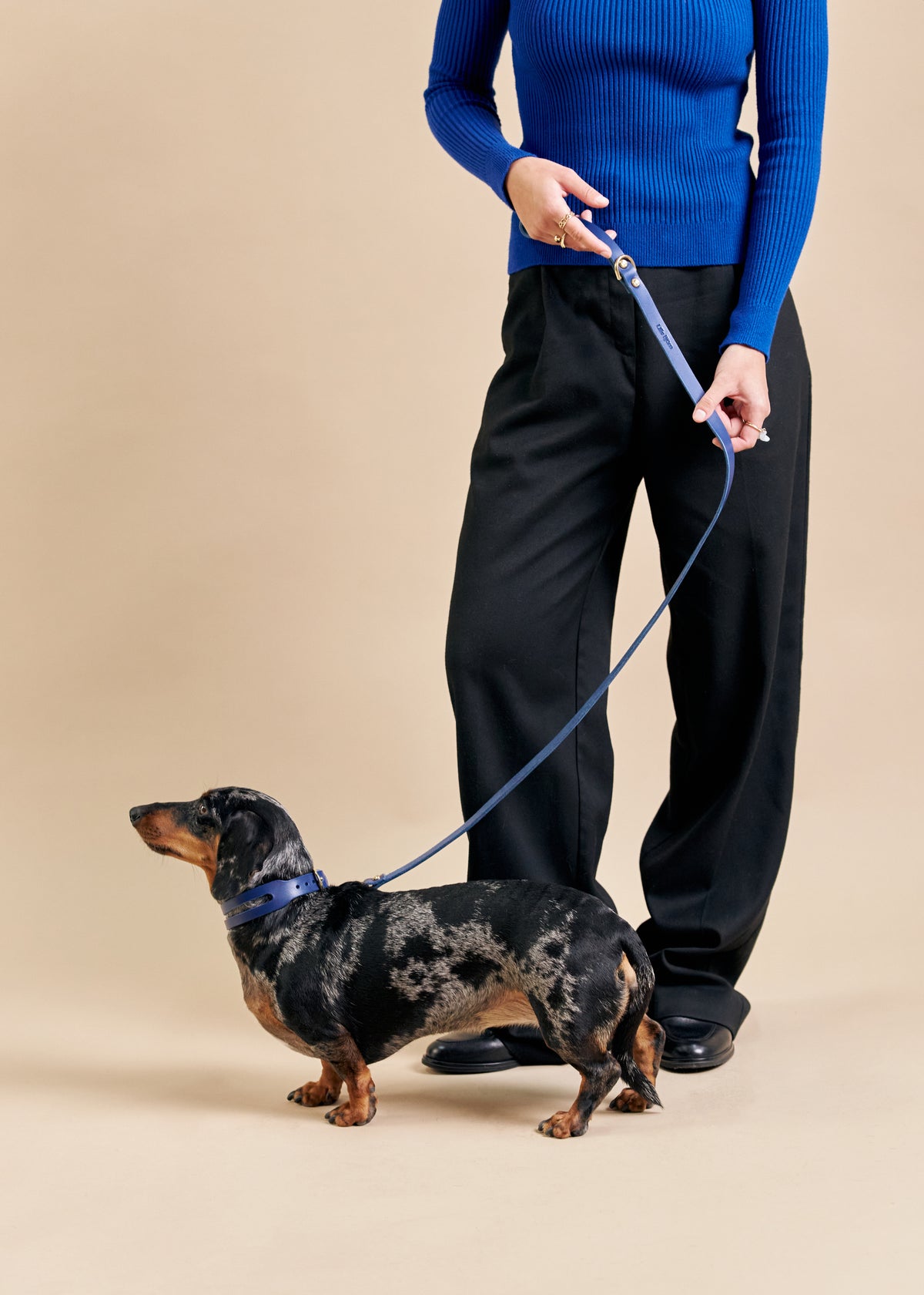 Blue Aeris Classic leather dog collar with Classic leash on a dog out for a walk