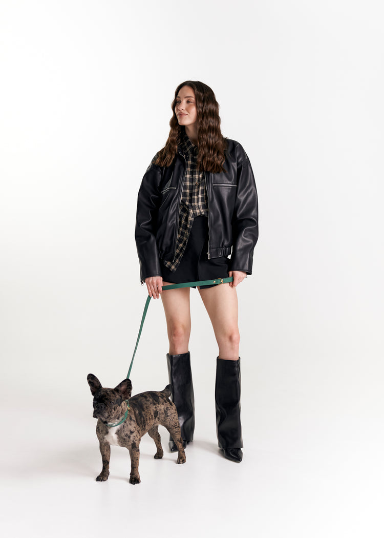 Green Leather Dog Collar and Leash Set - Aeris Classic