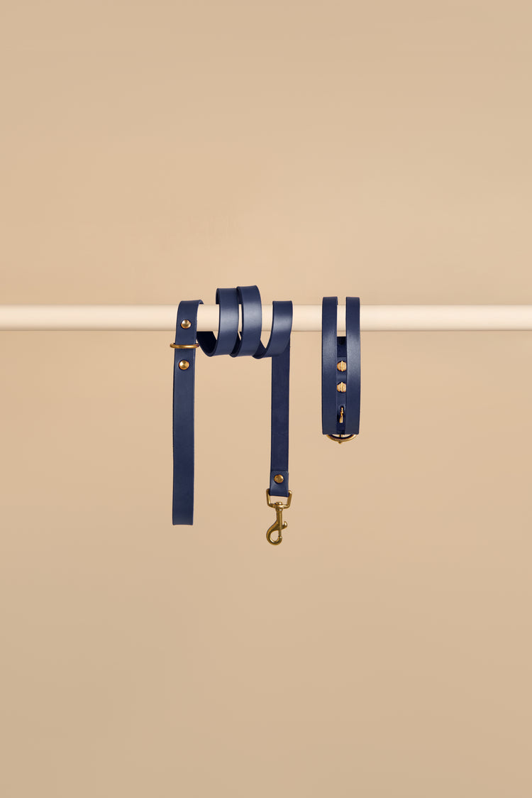 Blue Leather Dog Collar and Leash Set - Aeris Classic