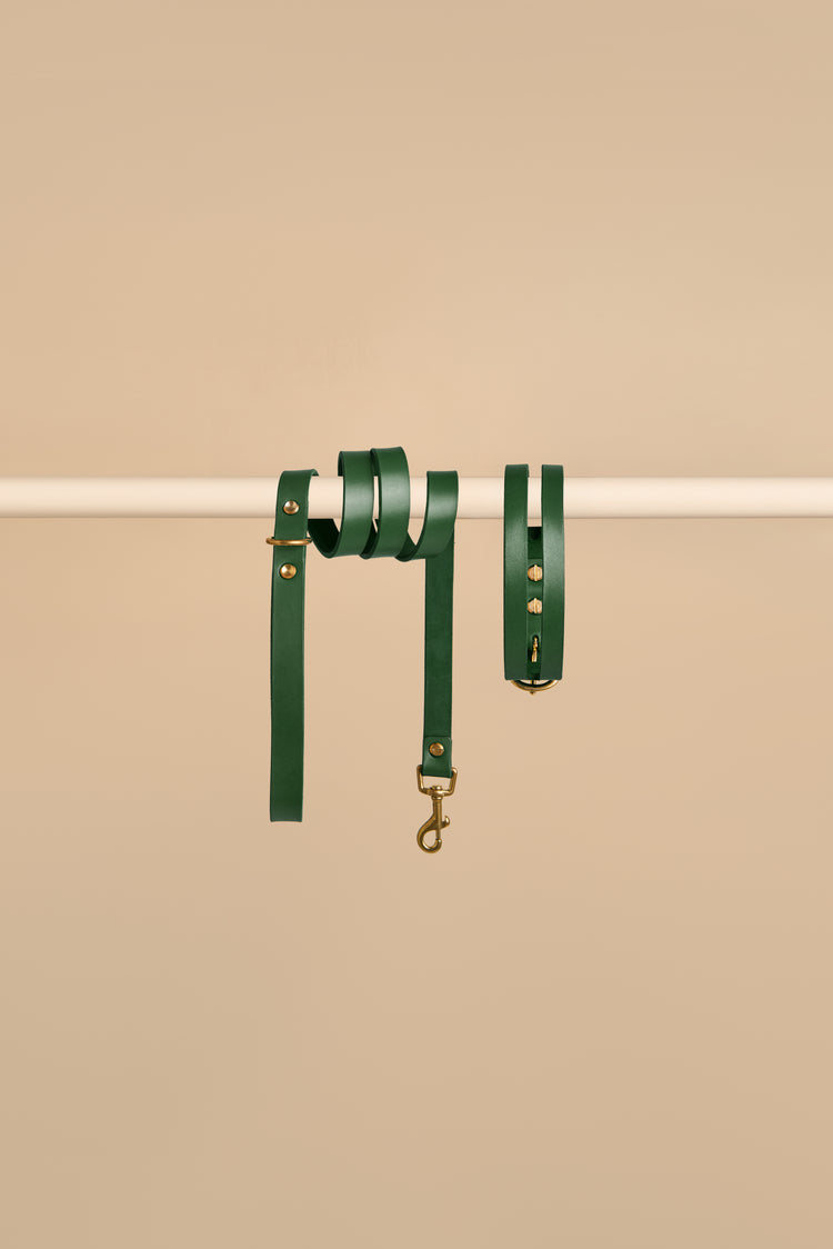 Green Leather Dog Collar and Leash Set - Aeris Classic