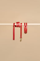 Aeris Classic Red Leather Dog Collar and Classic Red Leather Dog Leash Walk Kit made from high-quality Italian leather with robust brass hardware, providing a chic and durable option for your pet