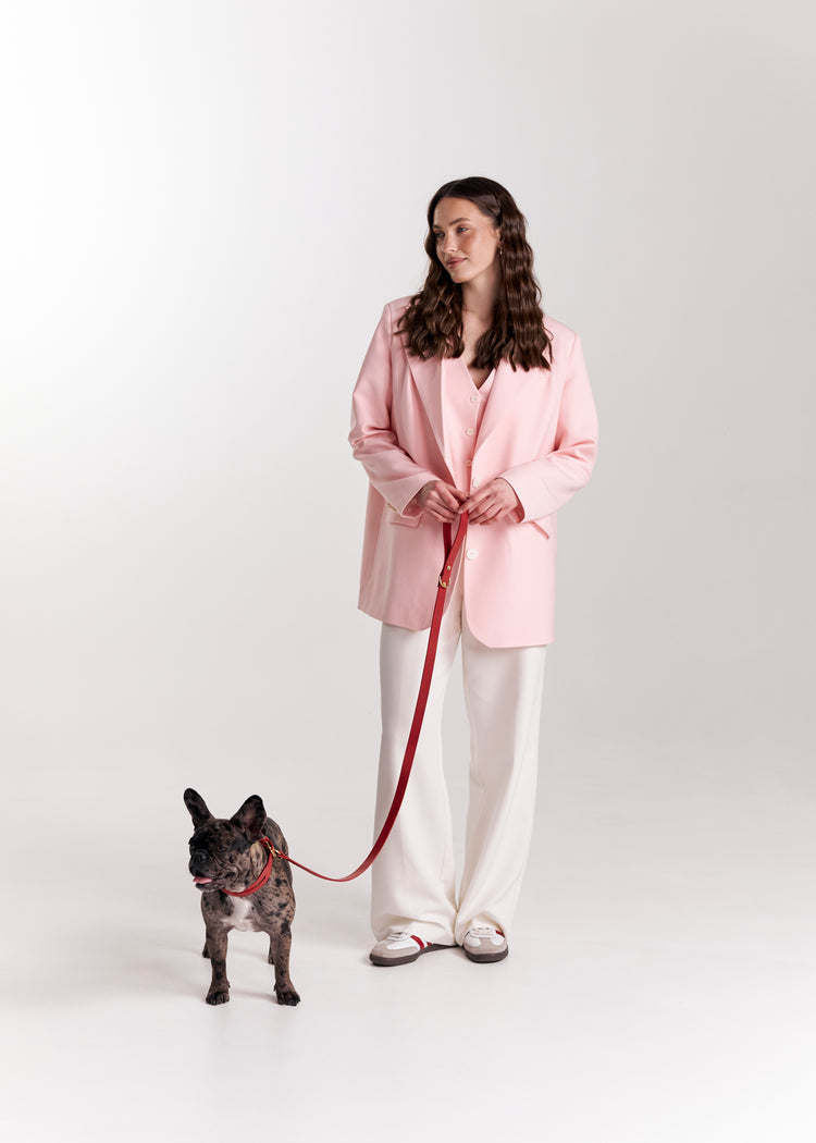 Red Leather Dog Collar and Leash Set - Aeris Classic
