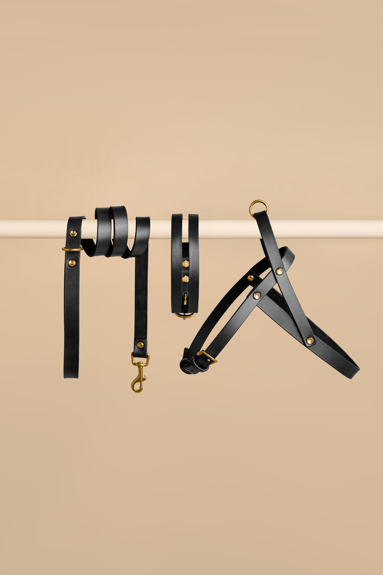 Black Leather Dog Collar, Leash and Harness Set - Aeris Classic