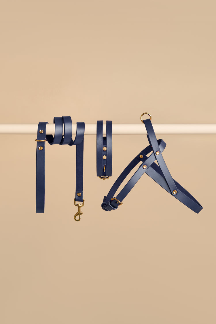 Blue Leather Dog Collar, Leash and Harness Set - Aeris Classic