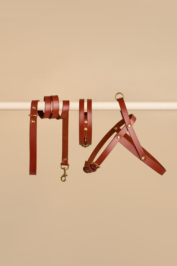 Brown Leather Dog Collar, Leash and Harness Set - Aeris Classic