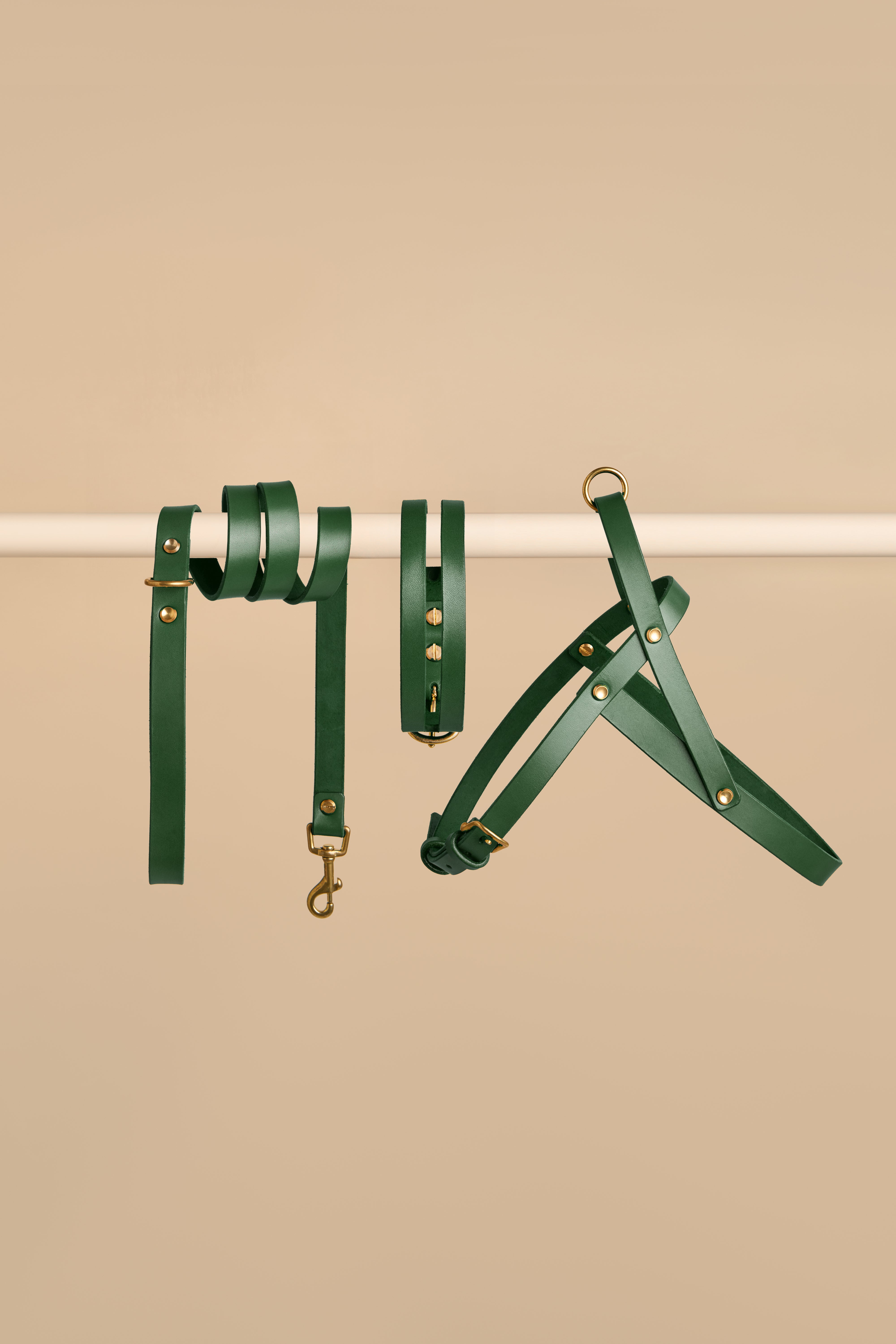 Aeris Classic green leather dog collar and leash set with Vero harness in green - luxury dog accessories with high-quality leather