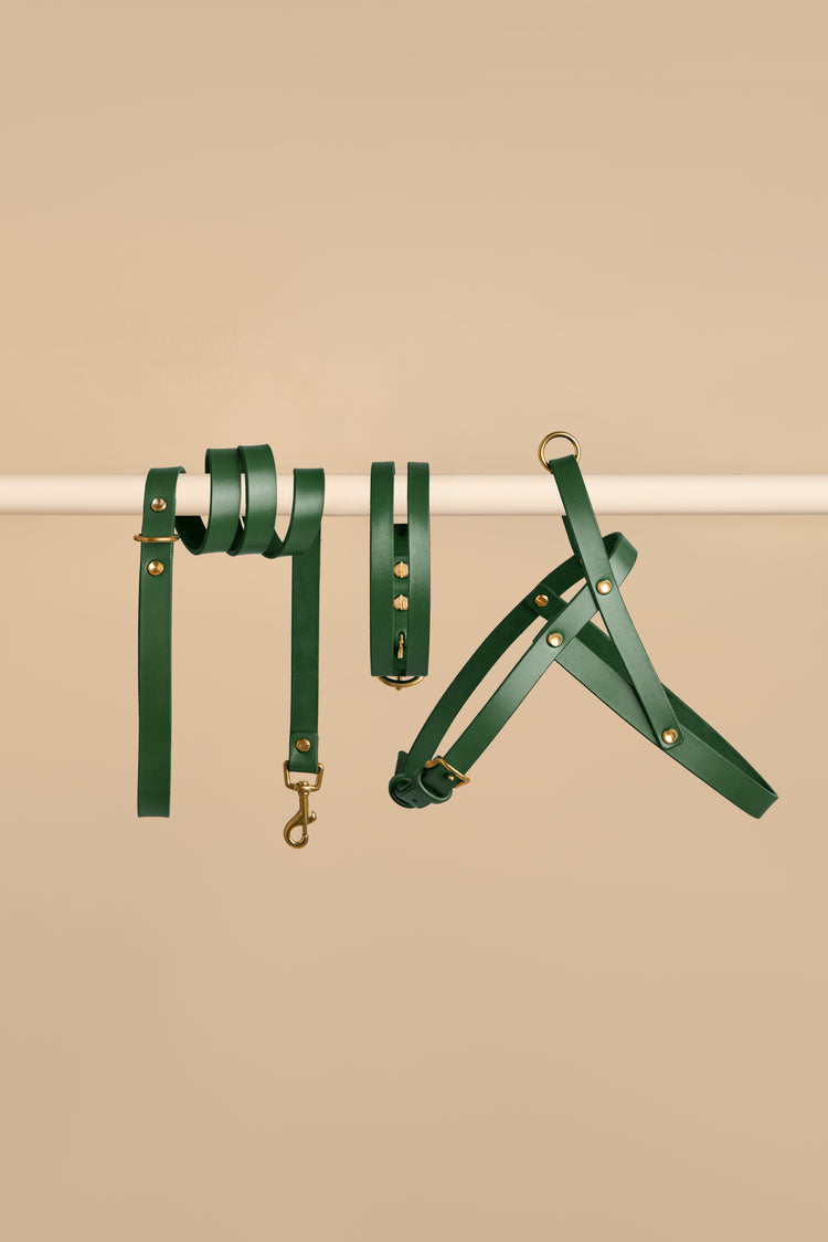 Green Leather Dog Collar, Leash and Harness Set - Aeris Classic