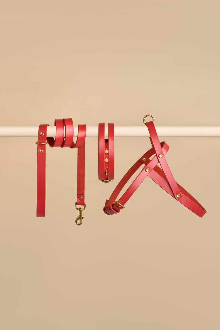 Red Leather Dog Collar, Leash and Harness Set - Aeris Classic