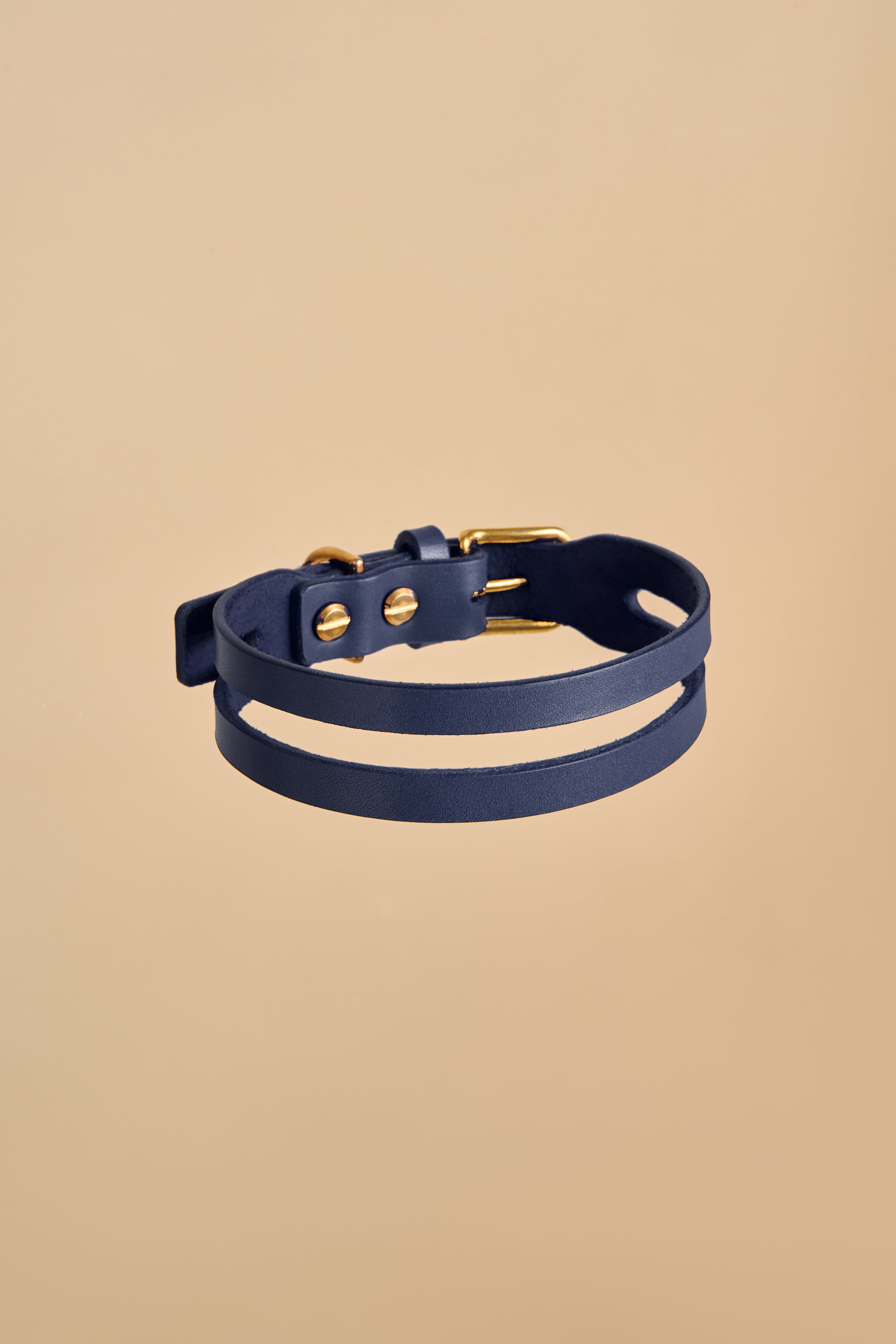 Aeris Classic Dog Collar in Blue