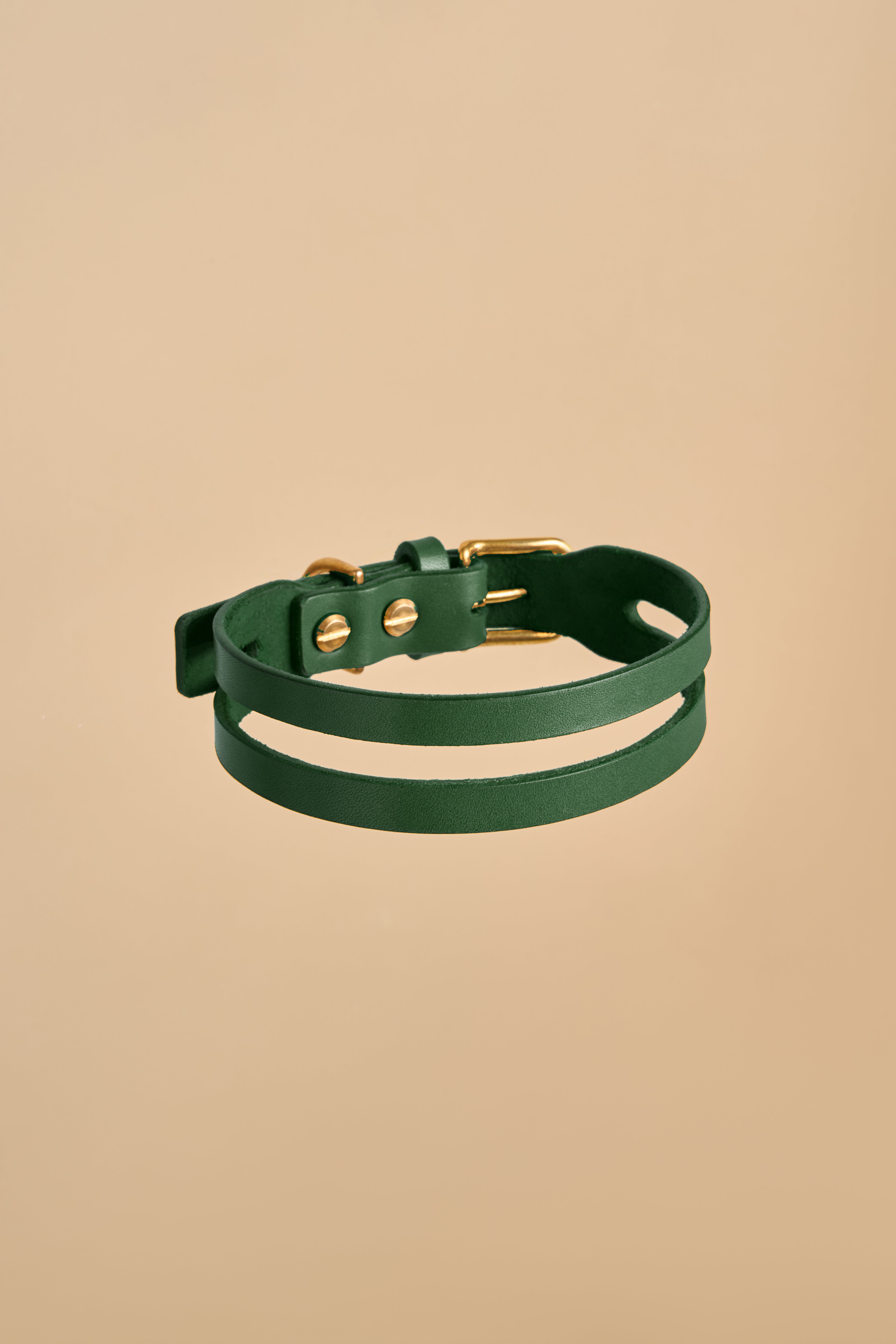 Aeris Classic Dog Collar in Green