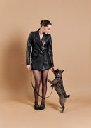 Aeris Classic dog collar paired with Omni Hands Free leash in black