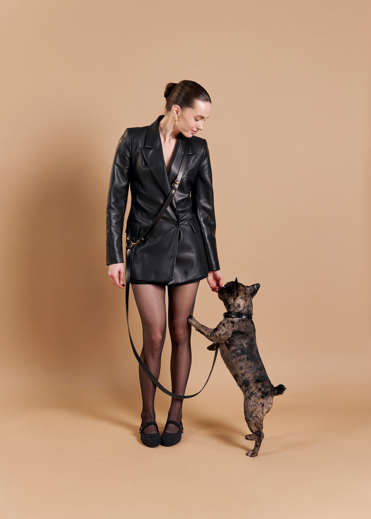 Aeris Classic dog collar paired with Omni Hands Free leash in black