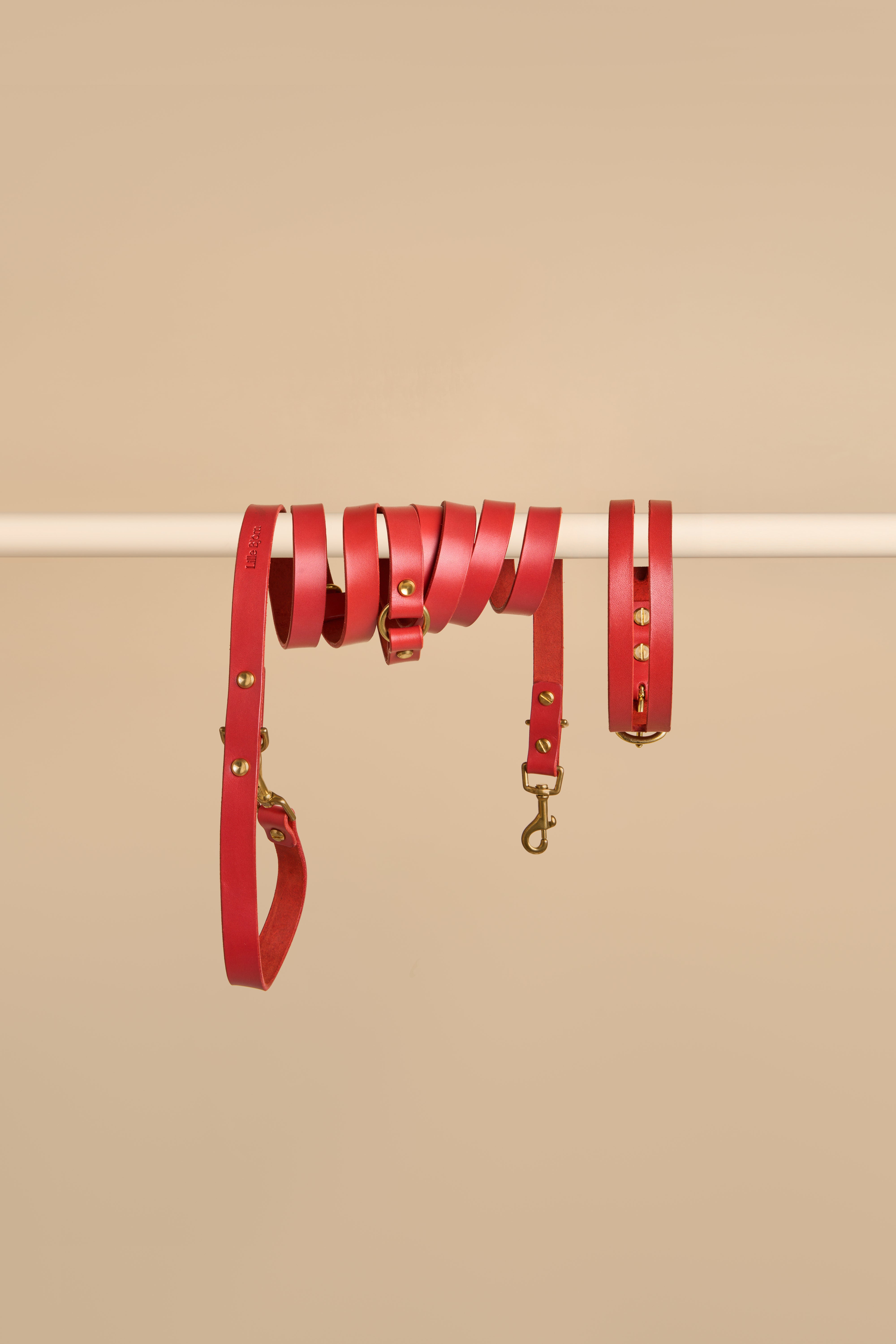 Aeris Classic Collar & Omni Leash in Red