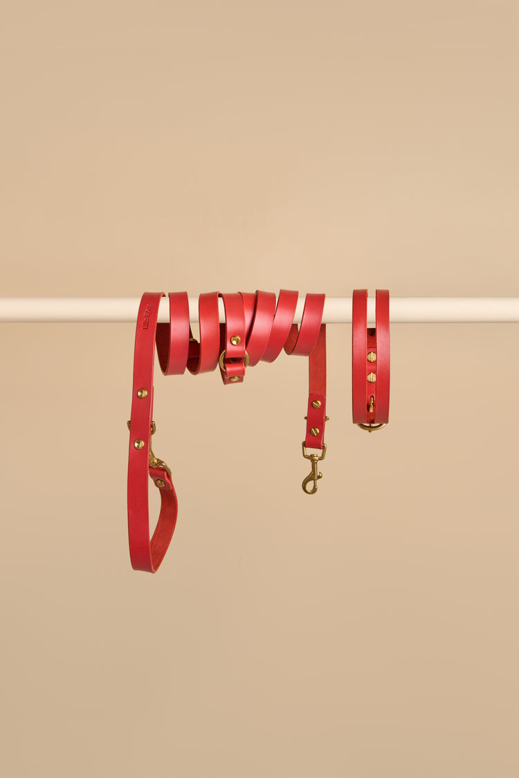 Red Leather Dog Collar and Hands-Free Leash Set - Aeris Classic