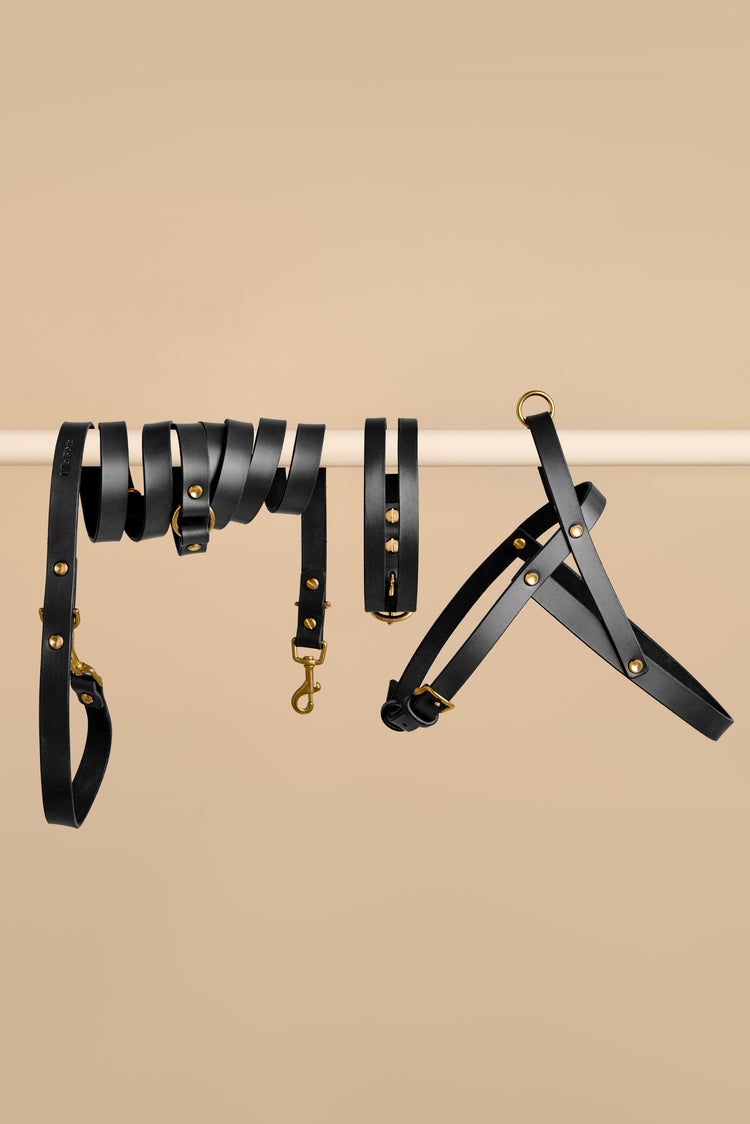 Black Leather Dog Collar, Hands-Free Leash and Harness Set - Aeris Classic