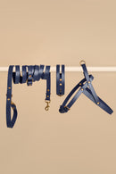 Aeris Classic blue leather collar, Omni leash, and Vero blue harness set - premium dog walking gear for style and comfort.