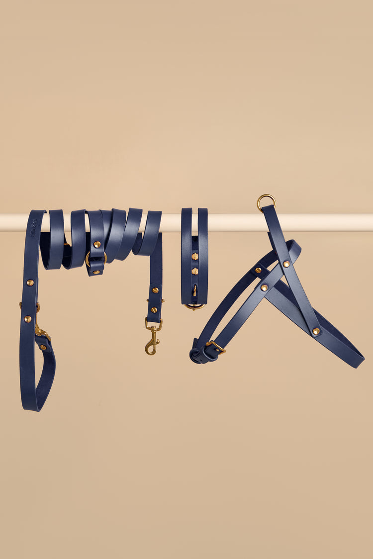 Blue Leather Dog Collar, Hands-Free Leash and Harness Set - Aeris Classic