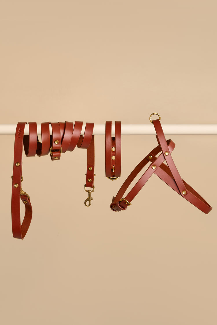 Brown Leather Dog Collar, Hands-Free Leash and Harness Set - Aeris Classic