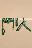 Aeris Classic green leather dog collar with Omni leash and Vero green harness - durable and stylish dog walking set