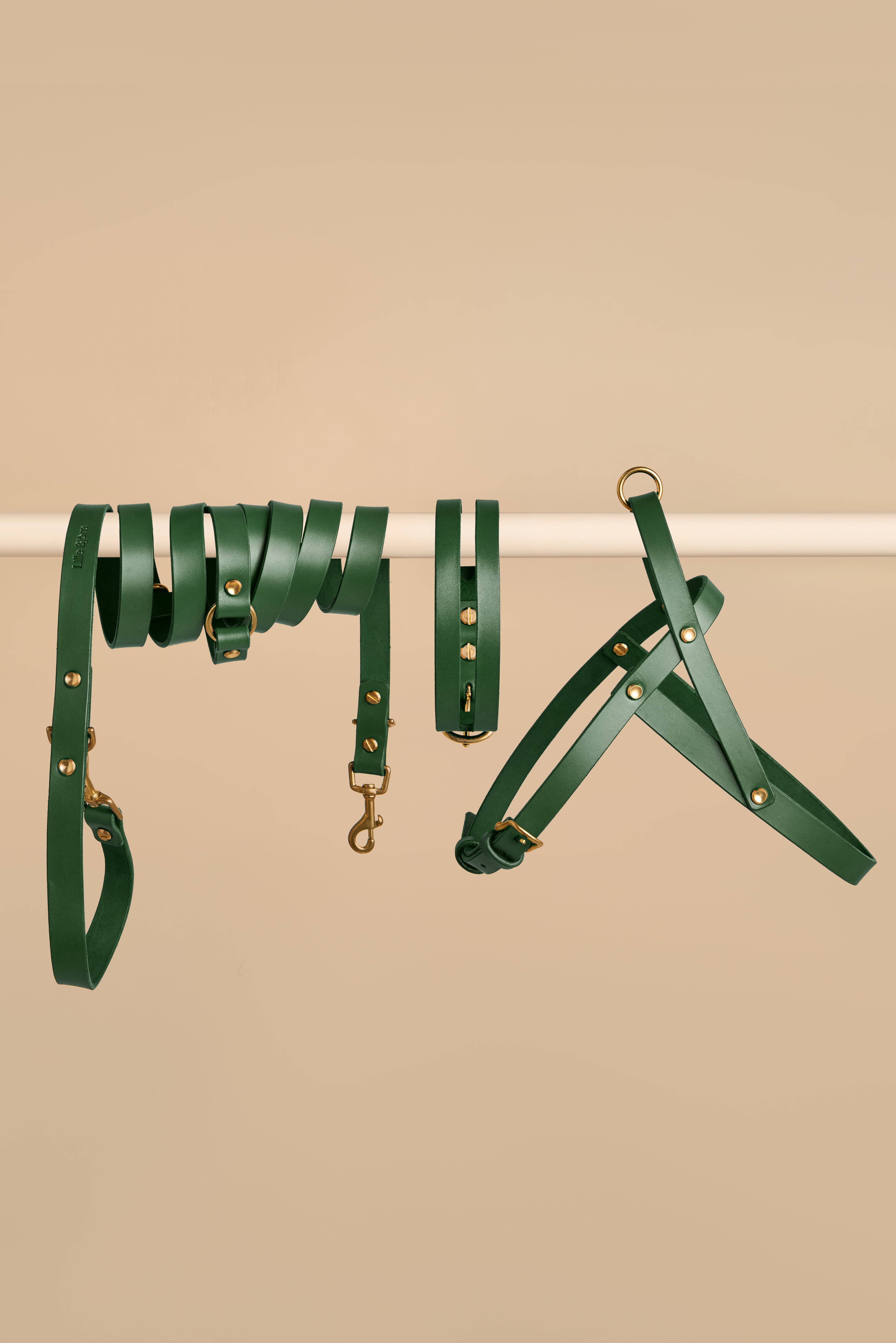 Aeris Classic Collar & Omni Leash & Vero Harness in Green