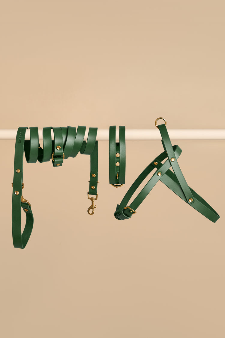 Green Leather Dog Collar, Hands-Free Leash and Harness Set - Aeris Classic